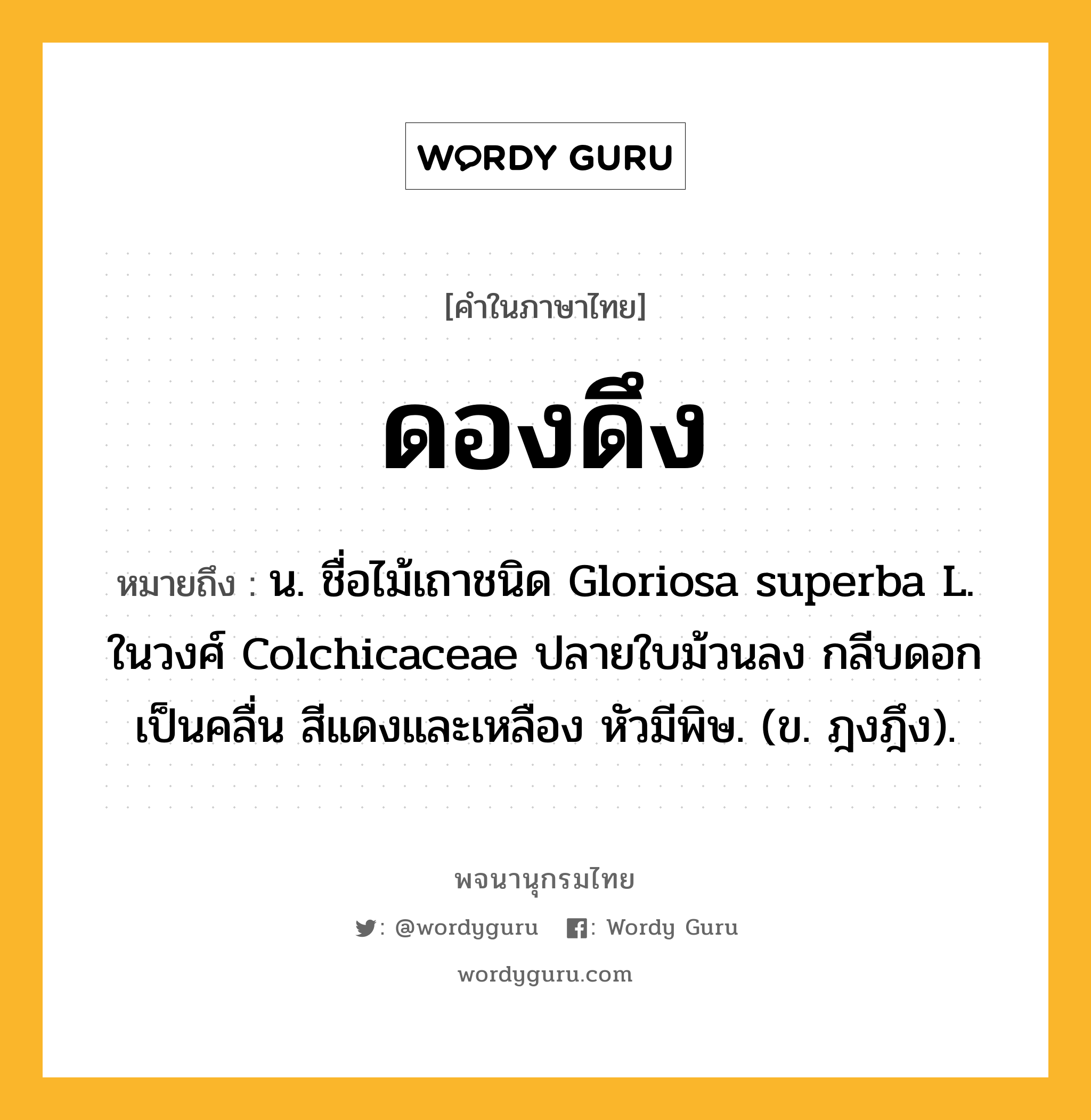 ดองดึง ความหมาย หมายถึงอะไร?, คำในภาษาไทย ดองดึง หมายถึง น. ชื่อไม้เถาชนิด Gloriosa superba L. ในวงศ์ Colchicaceae ปลายใบม้วนลง กลีบดอกเป็นคลื่น สีแดงและเหลือง หัวมีพิษ. (ข. ฎงฎึง).