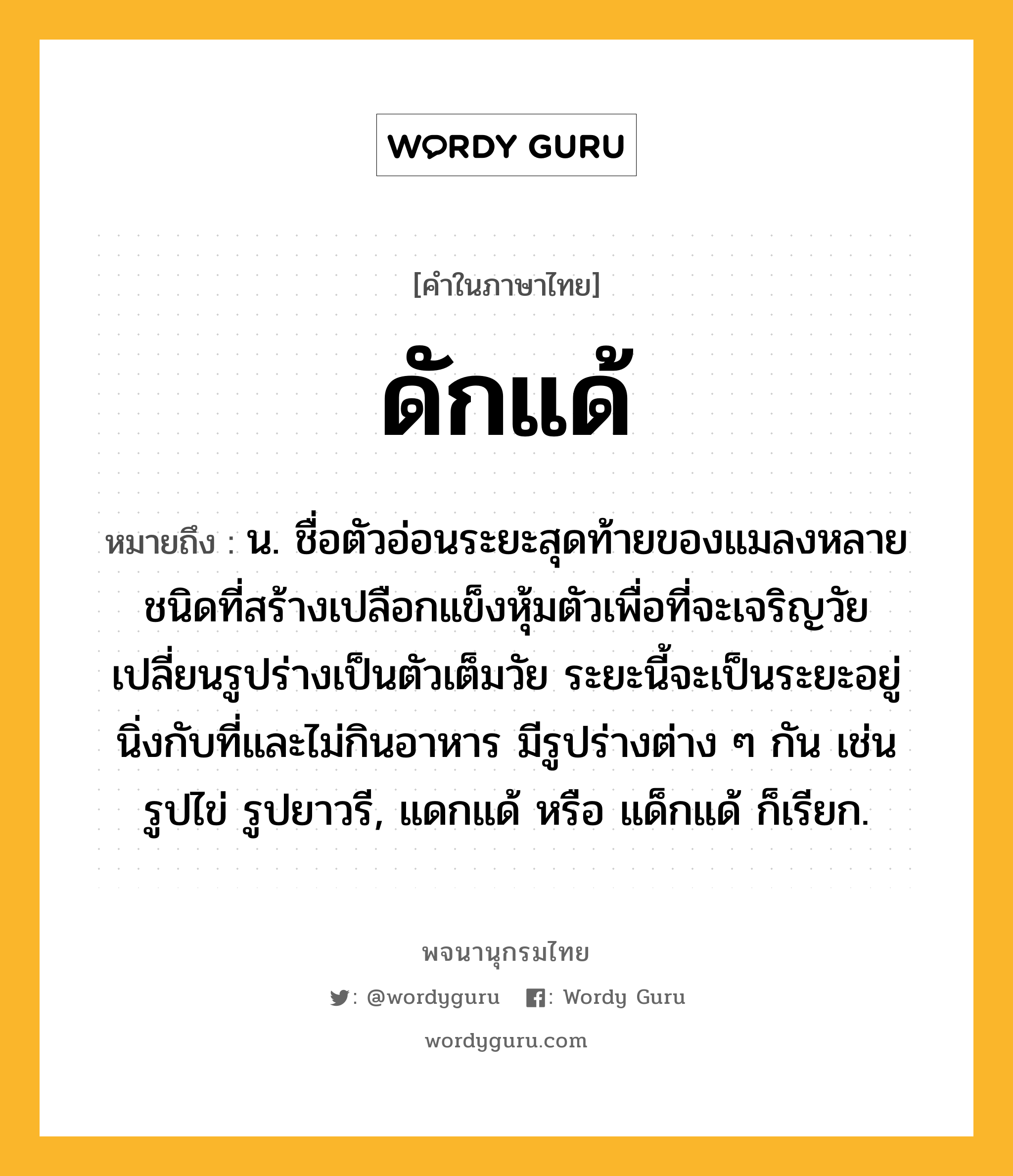 ดักแด้ ความหมาย หมายถึงอะไร?, คำในภาษาไทย ดักแด้ หมายถึง น. ชื่อตัวอ่อนระยะสุดท้ายของแมลงหลายชนิดที่สร้างเปลือกแข็งหุ้มตัวเพื่อที่จะเจริญวัยเปลี่ยนรูปร่างเป็นตัวเต็มวัย ระยะนี้จะเป็นระยะอยู่นิ่งกับที่และไม่กินอาหาร มีรูปร่างต่าง ๆ กัน เช่น รูปไข่ รูปยาวรี, แดกแด้ หรือ แด็กแด้ ก็เรียก.