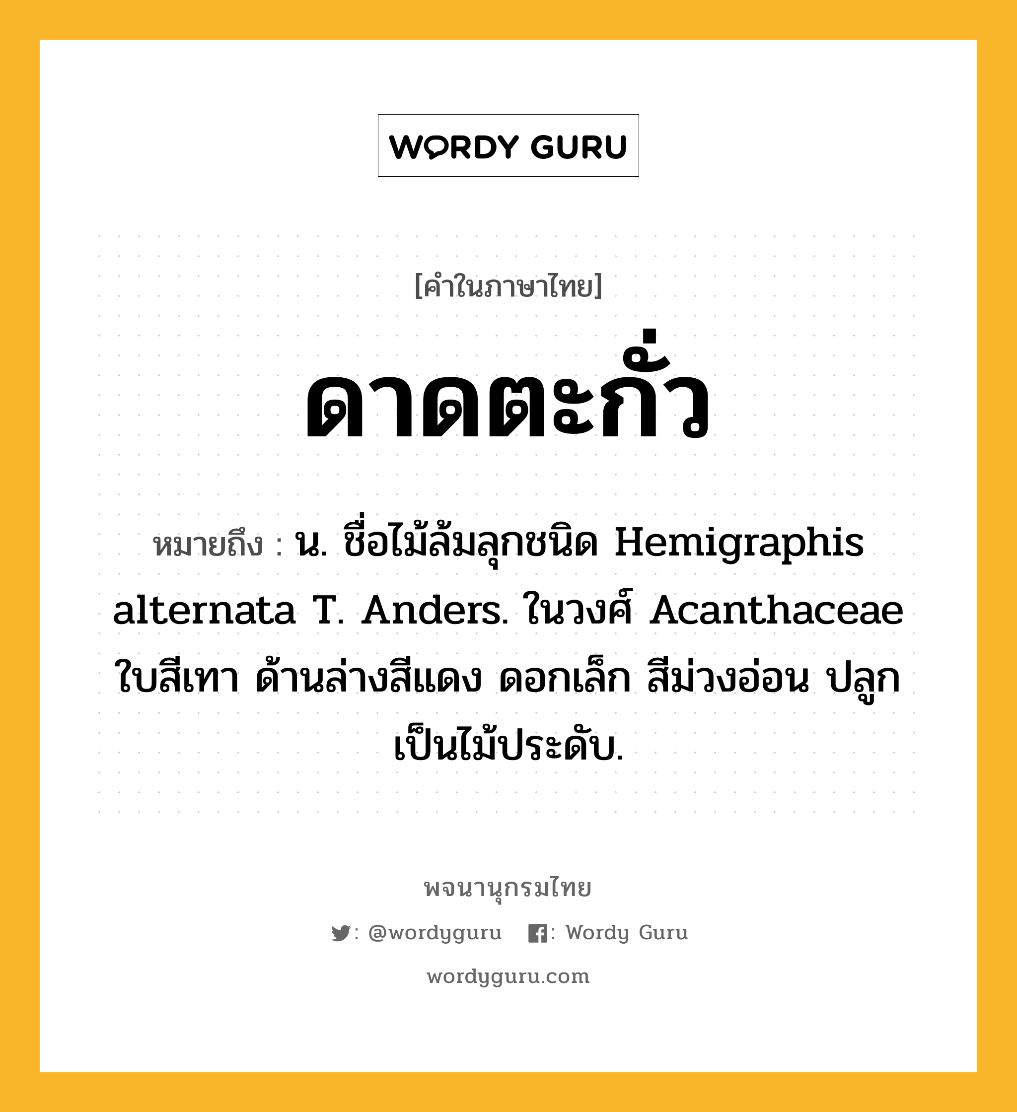 ดาดตะกั่ว ความหมาย หมายถึงอะไร?, คำในภาษาไทย ดาดตะกั่ว หมายถึง น. ชื่อไม้ล้มลุกชนิด Hemigraphis alternata T. Anders. ในวงศ์ Acanthaceae ใบสีเทา ด้านล่างสีแดง ดอกเล็ก สีม่วงอ่อน ปลูกเป็นไม้ประดับ.