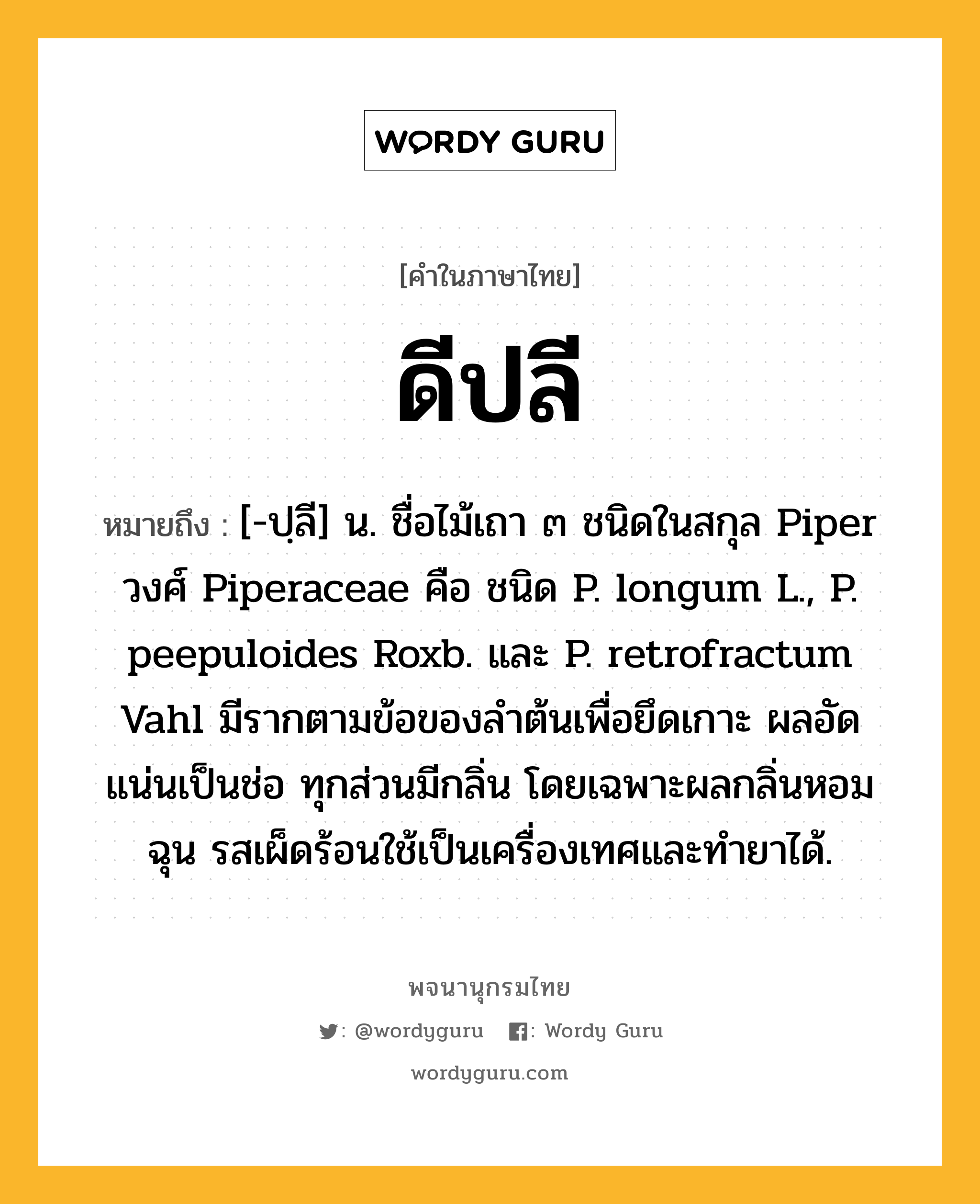 ดีปลี ความหมาย หมายถึงอะไร?, คำในภาษาไทย ดีปลี หมายถึง [-ปฺลี] น. ชื่อไม้เถา ๓ ชนิดในสกุล Piper วงศ์ Piperaceae คือ ชนิด P. longum L., P. peepuloides Roxb. และ P. retrofractum Vahl มีรากตามข้อของลําต้นเพื่อยึดเกาะ ผลอัดแน่นเป็นช่อ ทุกส่วนมีกลิ่น โดยเฉพาะผลกลิ่นหอมฉุน รสเผ็ดร้อนใช้เป็นเครื่องเทศและทํายาได้.