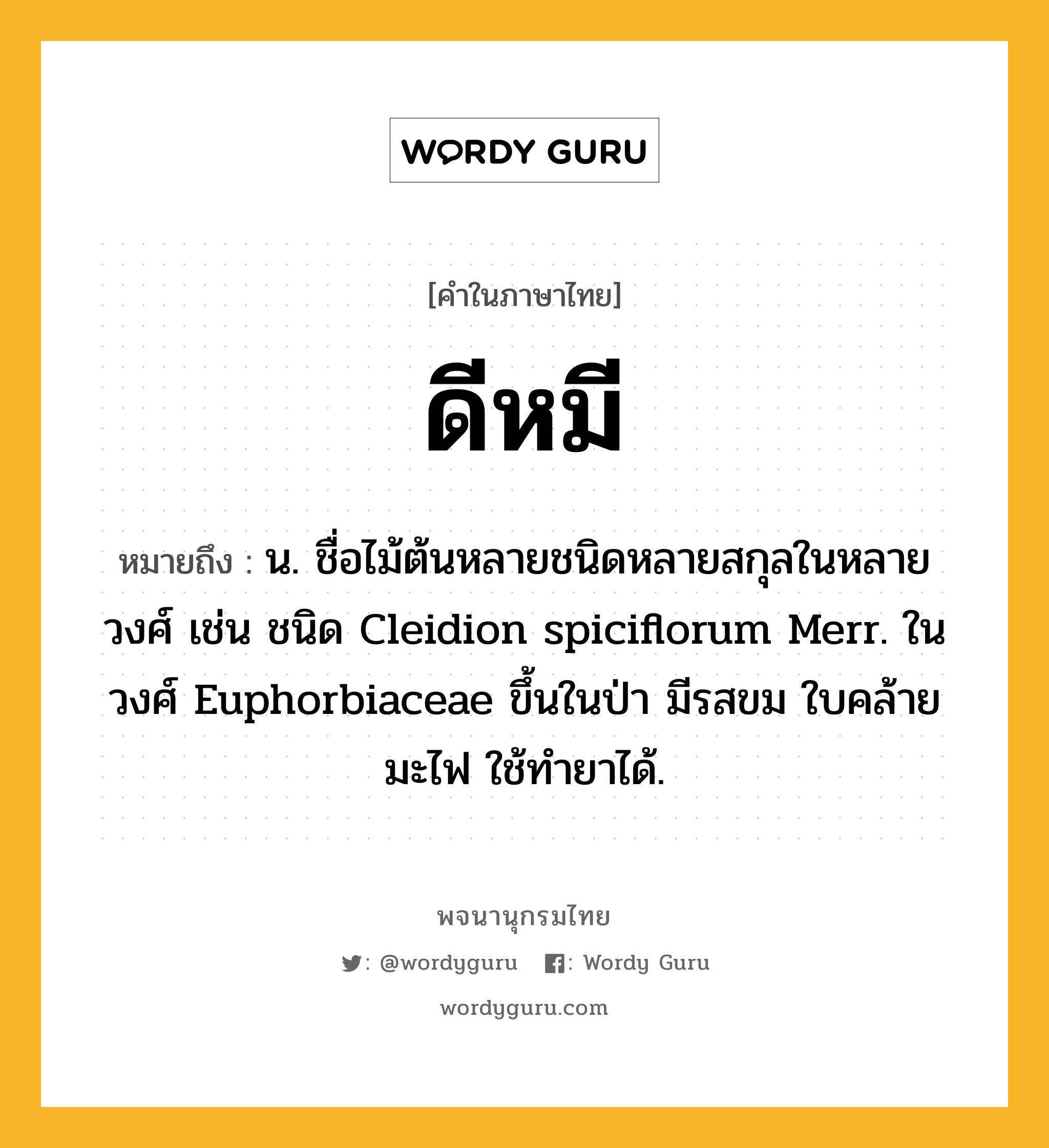 ดีหมี ความหมาย หมายถึงอะไร?, คำในภาษาไทย ดีหมี หมายถึง น. ชื่อไม้ต้นหลายชนิดหลายสกุลในหลายวงศ์ เช่น ชนิด Cleidion spiciflorum Merr. ในวงศ์ Euphorbiaceae ขึ้นในป่า มีรสขม ใบคล้ายมะไฟ ใช้ทํายาได้.