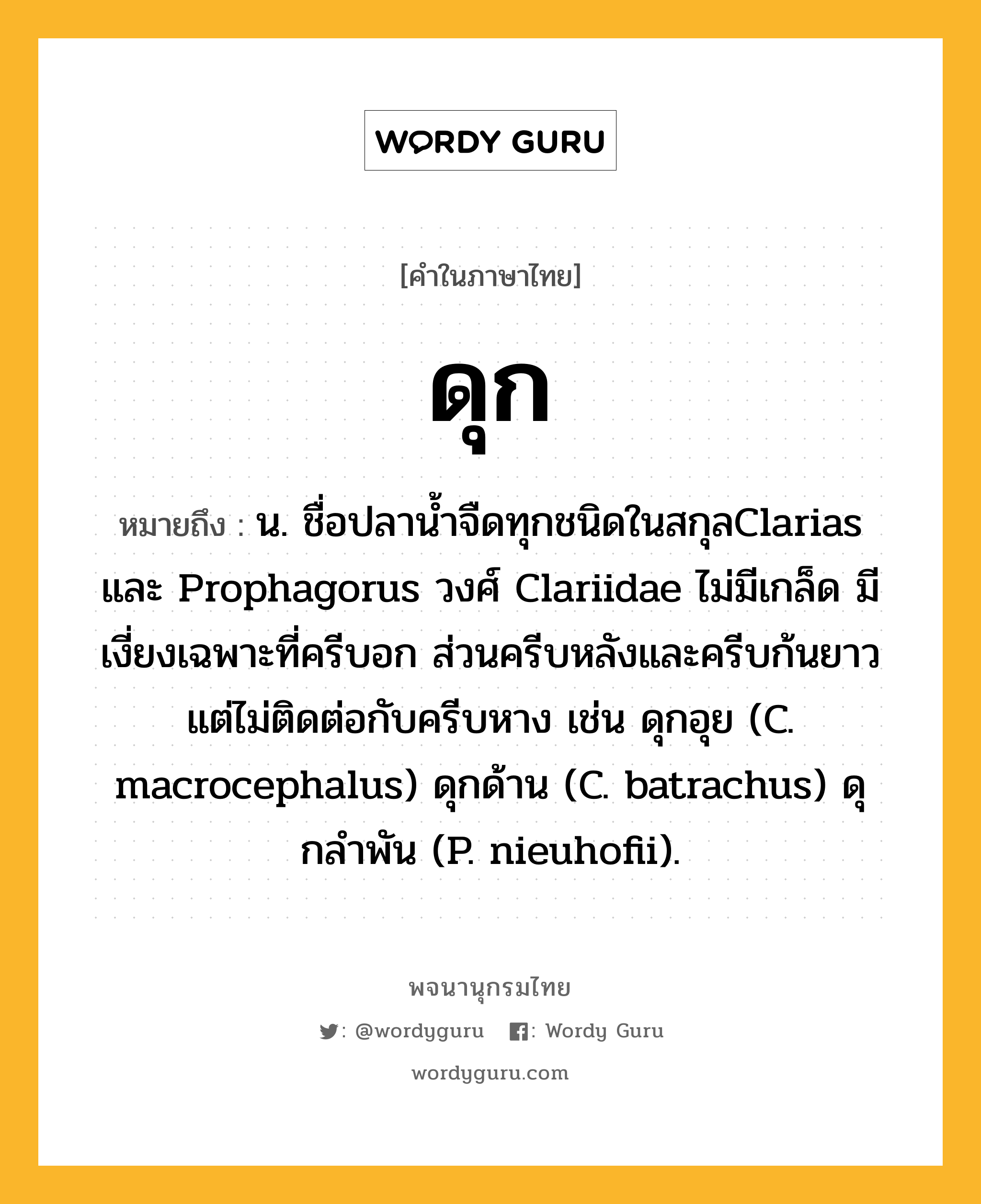 ดุก ความหมาย หมายถึงอะไร?, คำในภาษาไทย ดุก หมายถึง น. ชื่อปลานํ้าจืดทุกชนิดในสกุลClarias และ Prophagorus วงศ์ Clariidae ไม่มีเกล็ด มีเงี่ยงเฉพาะที่ครีบอก ส่วนครีบหลังและครีบก้นยาวแต่ไม่ติดต่อกับครีบหาง เช่น ดุกอุย (C. macrocephalus) ดุกด้าน (C. batrachus) ดุกลําพัน (P. nieuhofii).