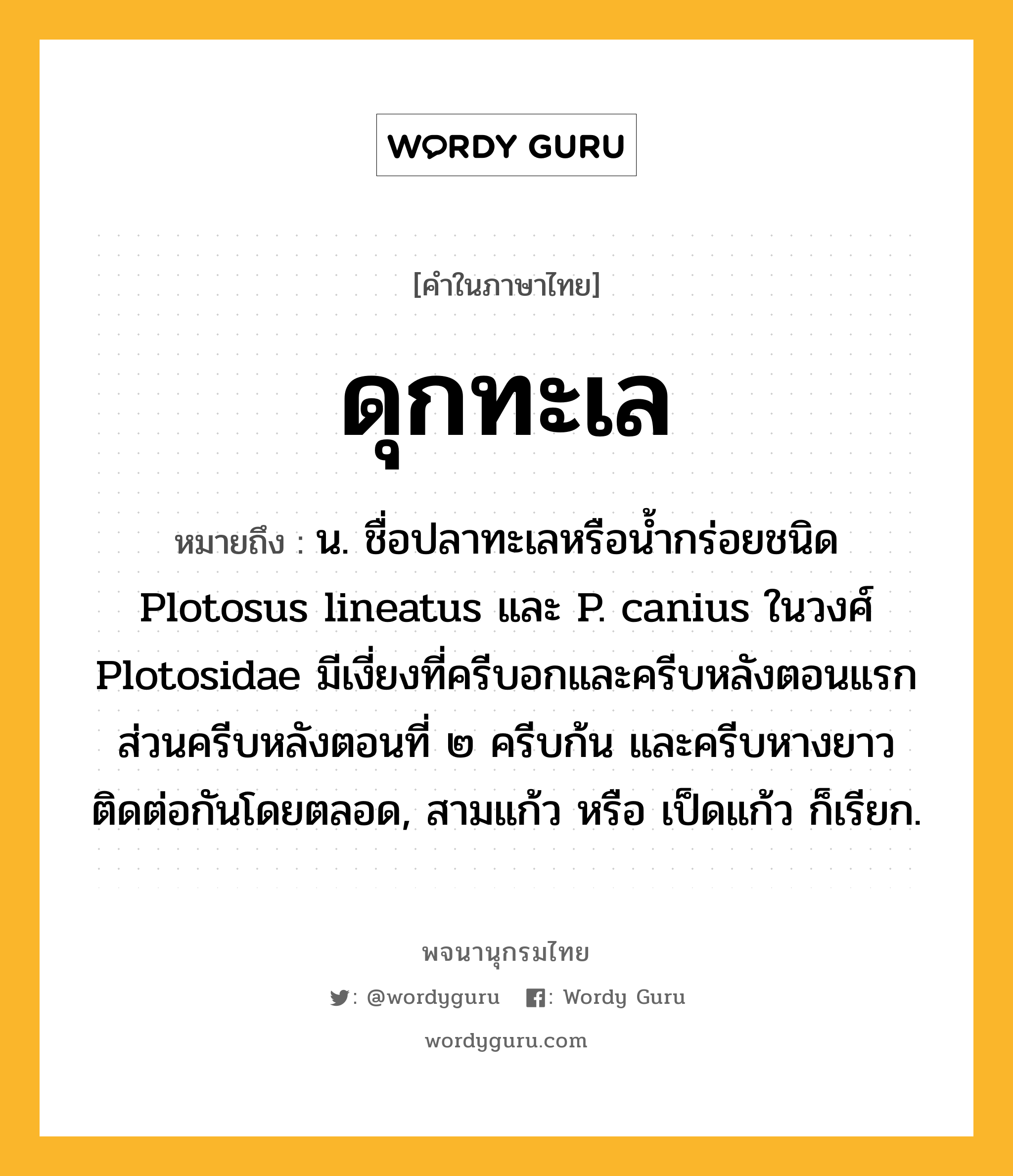 ดุกทะเล ความหมาย หมายถึงอะไร?, คำในภาษาไทย ดุกทะเล หมายถึง น. ชื่อปลาทะเลหรือนํ้ากร่อยชนิด Plotosus lineatus และ P. canius ในวงศ์ Plotosidae มีเงี่ยงที่ครีบอกและครีบหลังตอนแรก ส่วนครีบหลังตอนที่ ๒ ครีบก้น และครีบหางยาวติดต่อกันโดยตลอด, สามแก้ว หรือ เป็ดแก้ว ก็เรียก.