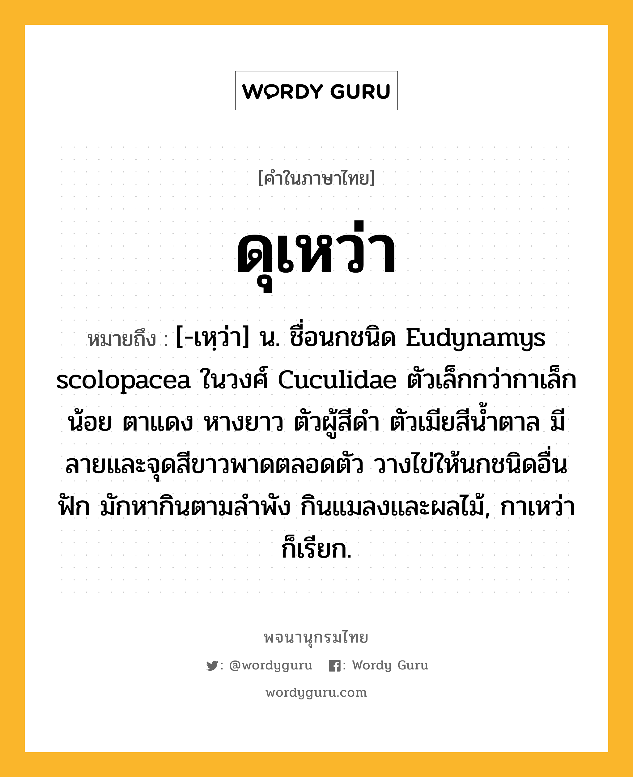 ดุเหว่า ความหมาย หมายถึงอะไร?, คำในภาษาไทย ดุเหว่า หมายถึง [-เหฺว่า] น. ชื่อนกชนิด Eudynamys scolopacea ในวงศ์ Cuculidae ตัวเล็กกว่ากาเล็กน้อย ตาแดง หางยาว ตัวผู้สีดํา ตัวเมียสีนํ้าตาล มีลายและจุดสีขาวพาดตลอดตัว วางไข่ให้นกชนิดอื่นฟัก มักหากินตามลําพัง กินแมลงและผลไม้, กาเหว่า ก็เรียก.