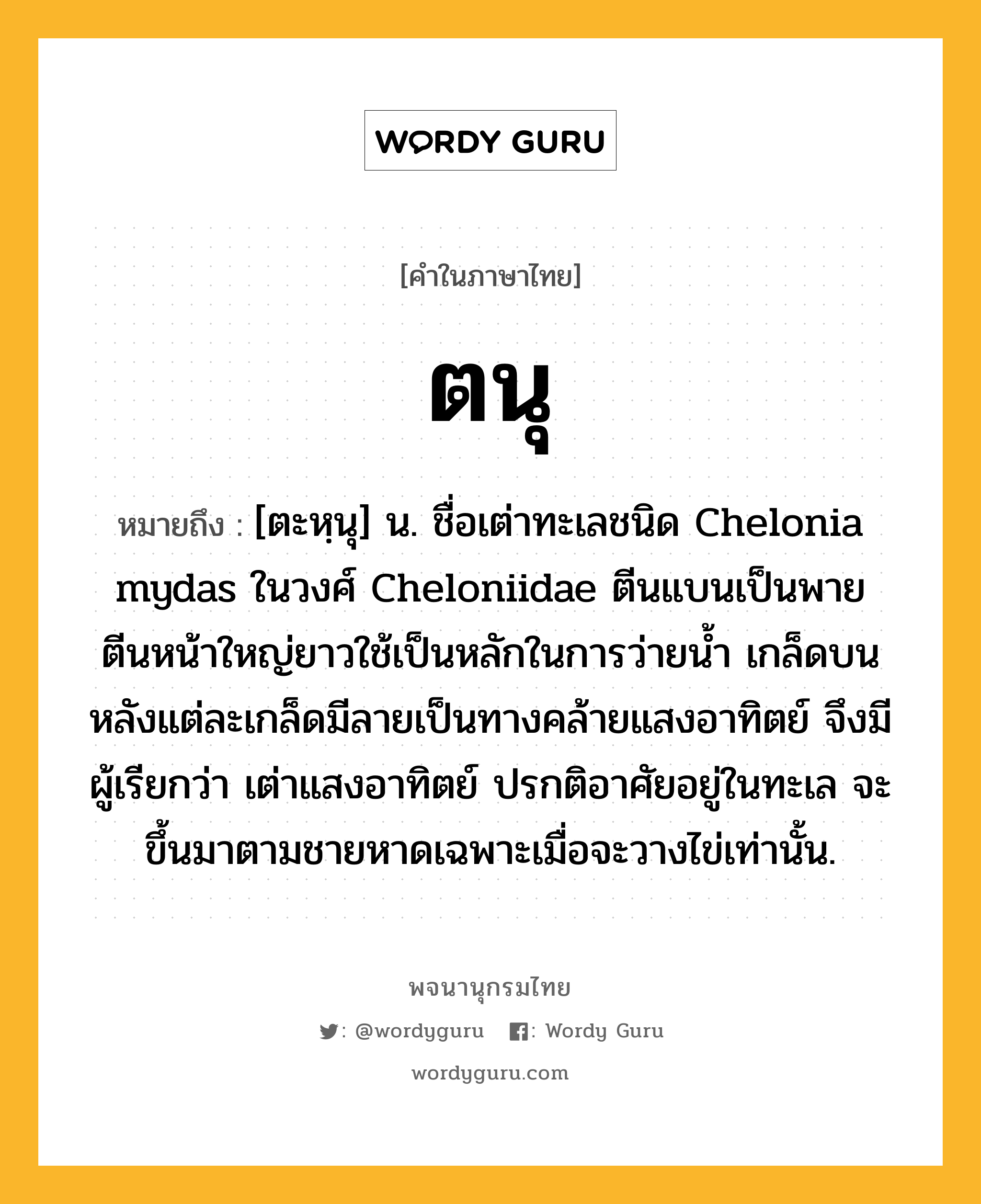 ตนุ ความหมาย หมายถึงอะไร?, คำในภาษาไทย ตนุ หมายถึง [ตะหฺนุ] น. ชื่อเต่าทะเลชนิด Chelonia mydas ในวงศ์ Cheloniidae ตีนแบนเป็นพาย ตีนหน้าใหญ่ยาวใช้เป็นหลักในการว่ายนํ้า เกล็ดบนหลังแต่ละเกล็ดมีลายเป็นทางคล้ายแสงอาทิตย์ จึงมีผู้เรียกว่า เต่าแสงอาทิตย์ ปรกติอาศัยอยู่ในทะเล จะขึ้นมาตามชายหาดเฉพาะเมื่อจะวางไข่เท่านั้น.