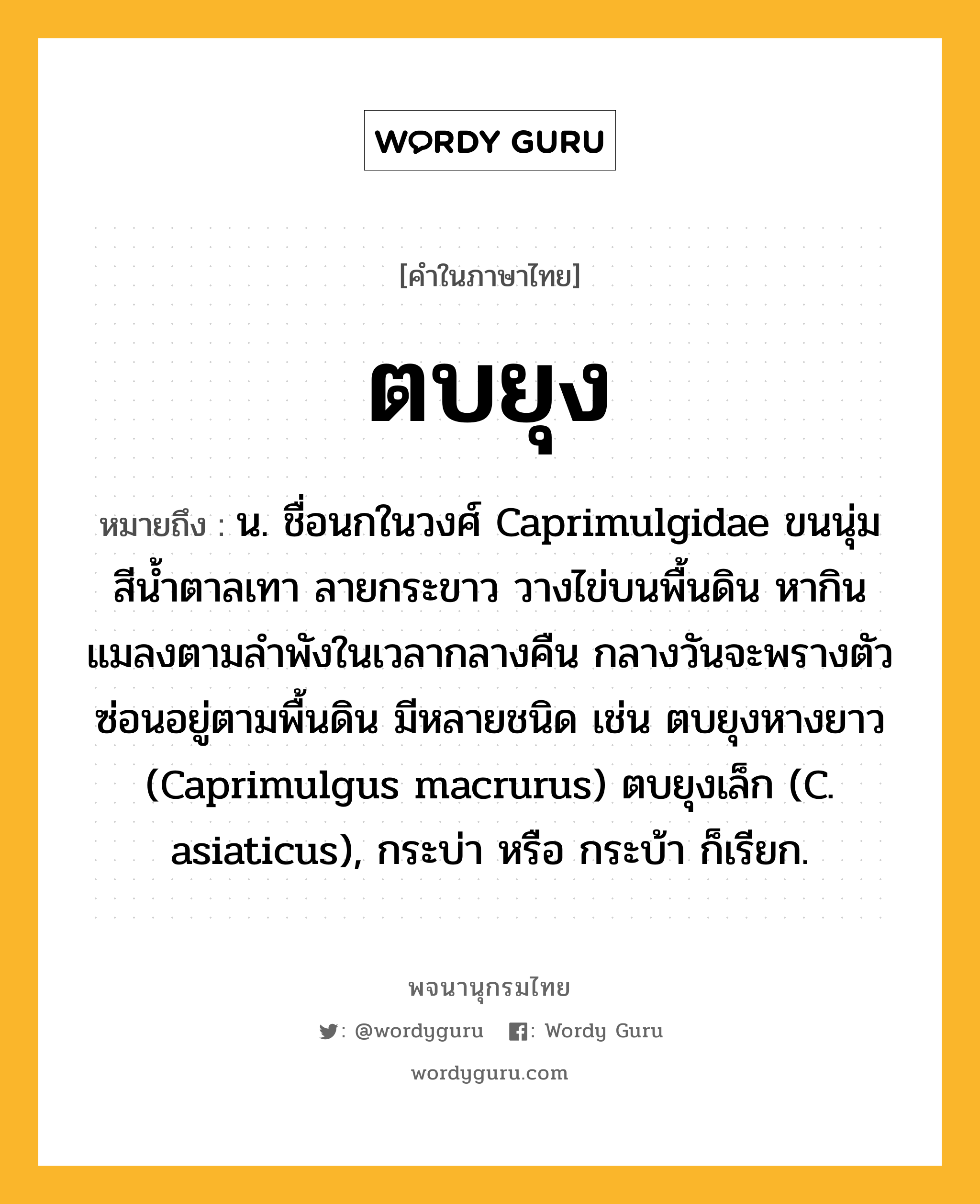 ตบยุง ความหมาย หมายถึงอะไร?, คำในภาษาไทย ตบยุง หมายถึง น. ชื่อนกในวงศ์ Caprimulgidae ขนนุ่มสีนํ้าตาลเทา ลายกระขาว วางไข่บนพื้นดิน หากินแมลงตามลําพังในเวลากลางคืน กลางวันจะพรางตัวซ่อนอยู่ตามพื้นดิน มีหลายชนิด เช่น ตบยุงหางยาว (Caprimulgus macrurus) ตบยุงเล็ก (C. asiaticus), กระบ่า หรือ กระบ้า ก็เรียก.