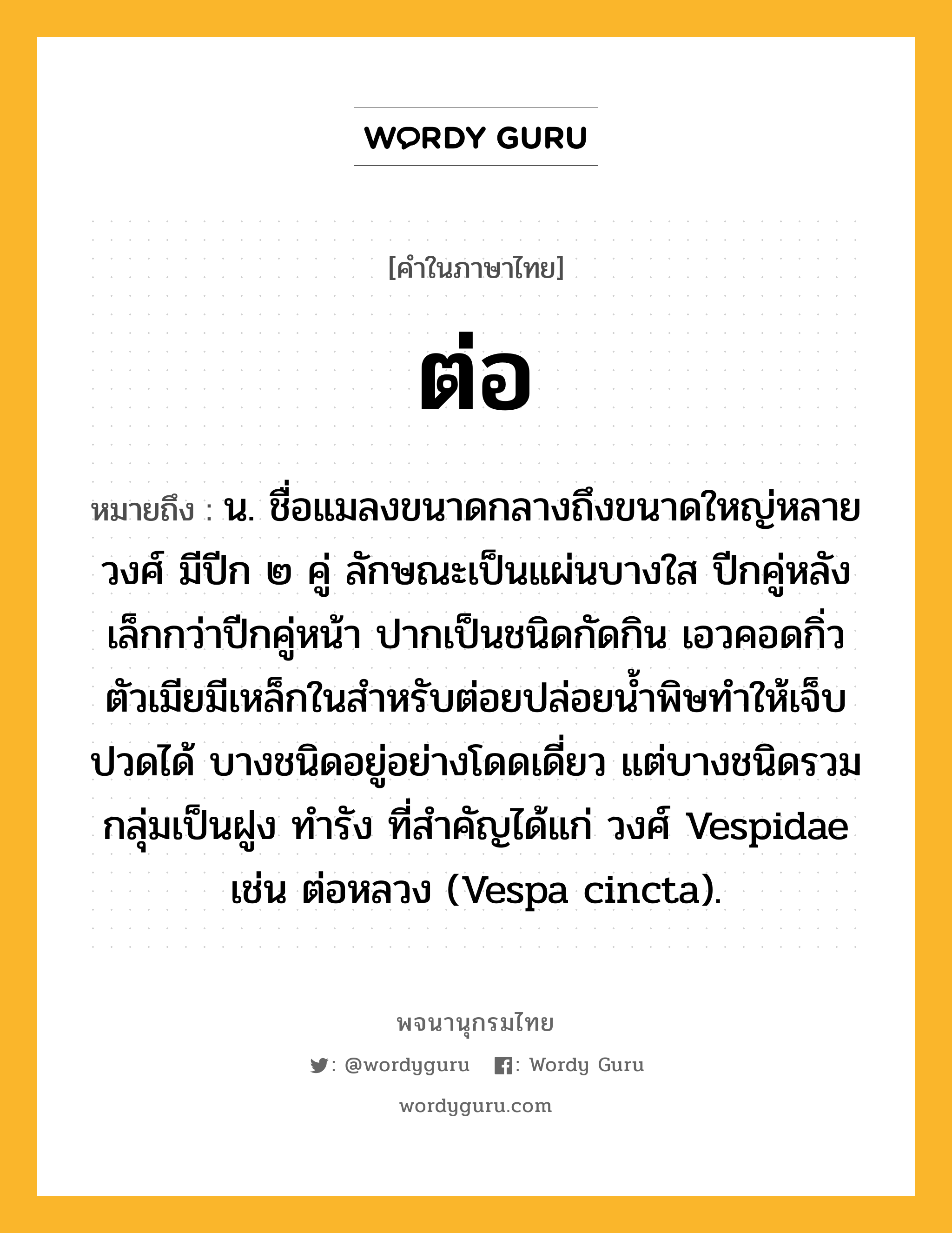 ต่อ ความหมาย หมายถึงอะไร?, คำในภาษาไทย ต่อ หมายถึง น. ชื่อแมลงขนาดกลางถึงขนาดใหญ่หลายวงศ์ มีปีก ๒ คู่ ลักษณะเป็นแผ่นบางใส ปีกคู่หลังเล็กกว่าปีกคู่หน้า ปากเป็นชนิดกัดกิน เอวคอดกิ่ว ตัวเมียมีเหล็กในสําหรับต่อยปล่อยนํ้าพิษทําให้เจ็บปวดได้ บางชนิดอยู่อย่างโดดเดี่ยว แต่บางชนิดรวมกลุ่มเป็นฝูง ทํารัง ที่สําคัญได้แก่ วงศ์ Vespidae เช่น ต่อหลวง (Vespa cincta).