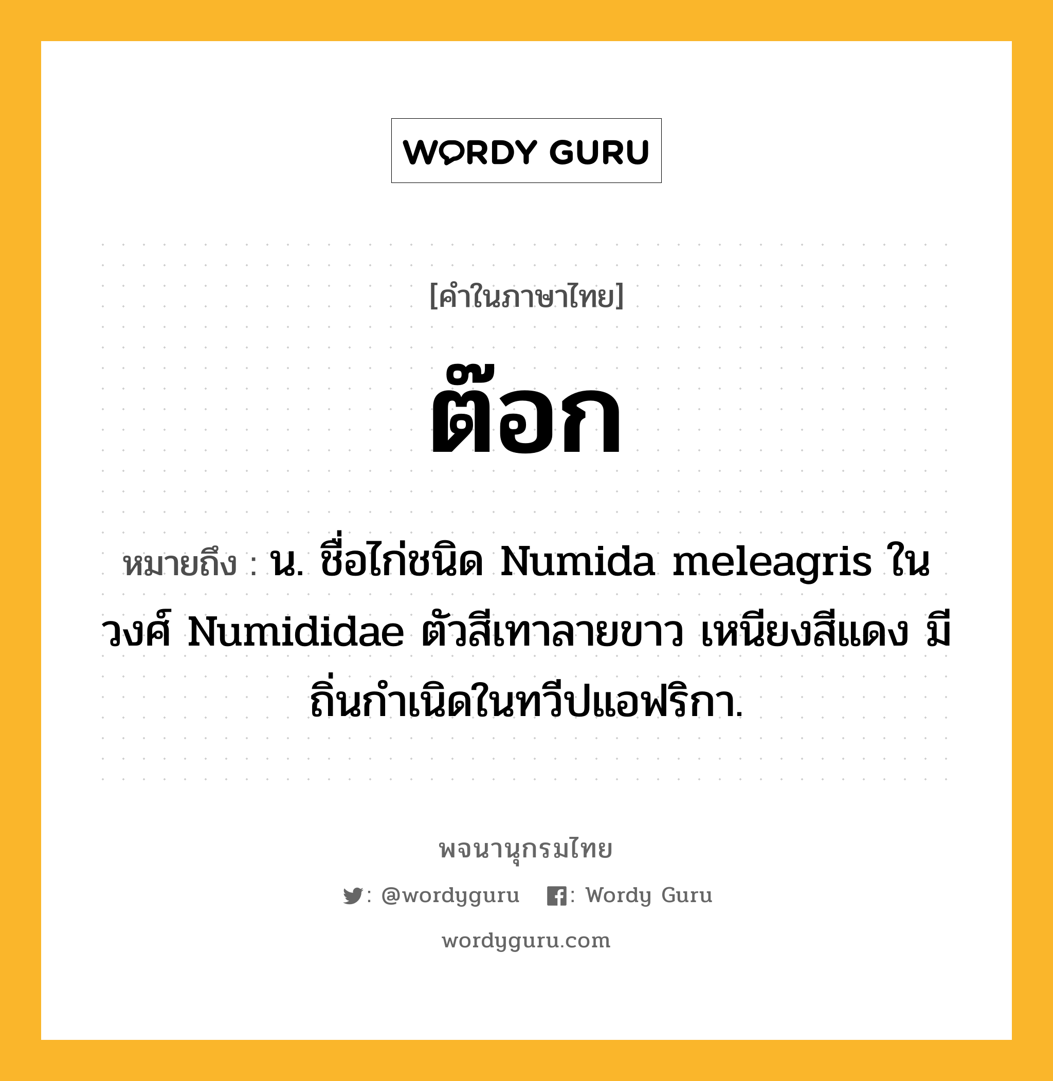 ต๊อก ความหมาย หมายถึงอะไร?, คำในภาษาไทย ต๊อก หมายถึง น. ชื่อไก่ชนิด Numida meleagris ในวงศ์ Numididae ตัวสีเทาลายขาว เหนียงสีแดง มีถิ่นกําเนิดในทวีปแอฟริกา.