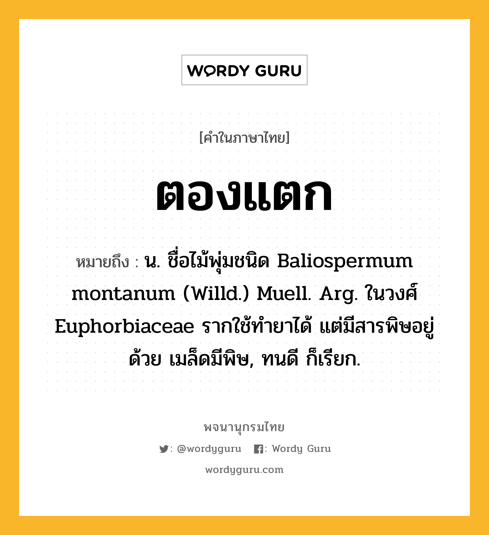 ตองแตก ความหมาย หมายถึงอะไร?, คำในภาษาไทย ตองแตก หมายถึง น. ชื่อไม้พุ่มชนิด Baliospermum montanum (Willd.) Muell. Arg. ในวงศ์ Euphorbiaceae รากใช้ทํายาได้ แต่มีสารพิษอยู่ด้วย เมล็ดมีพิษ, ทนดี ก็เรียก.