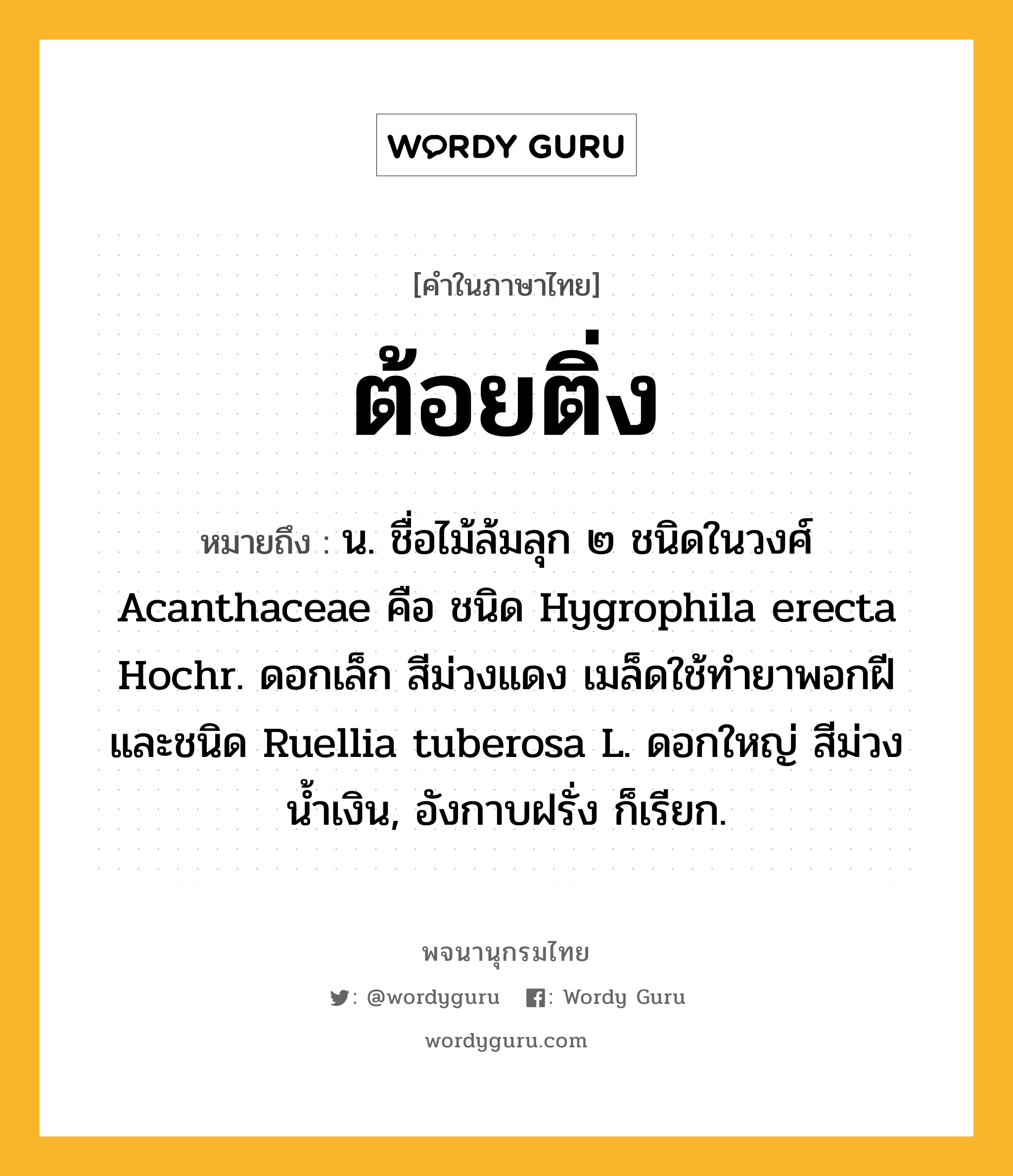 ต้อยติ่ง ความหมาย หมายถึงอะไร?, คำในภาษาไทย ต้อยติ่ง หมายถึง น. ชื่อไม้ล้มลุก ๒ ชนิดในวงศ์ Acanthaceae คือ ชนิด Hygrophila erecta Hochr. ดอกเล็ก สีม่วงแดง เมล็ดใช้ทํายาพอกฝี และชนิด Ruellia tuberosa L. ดอกใหญ่ สีม่วงนํ้าเงิน, อังกาบฝรั่ง ก็เรียก.