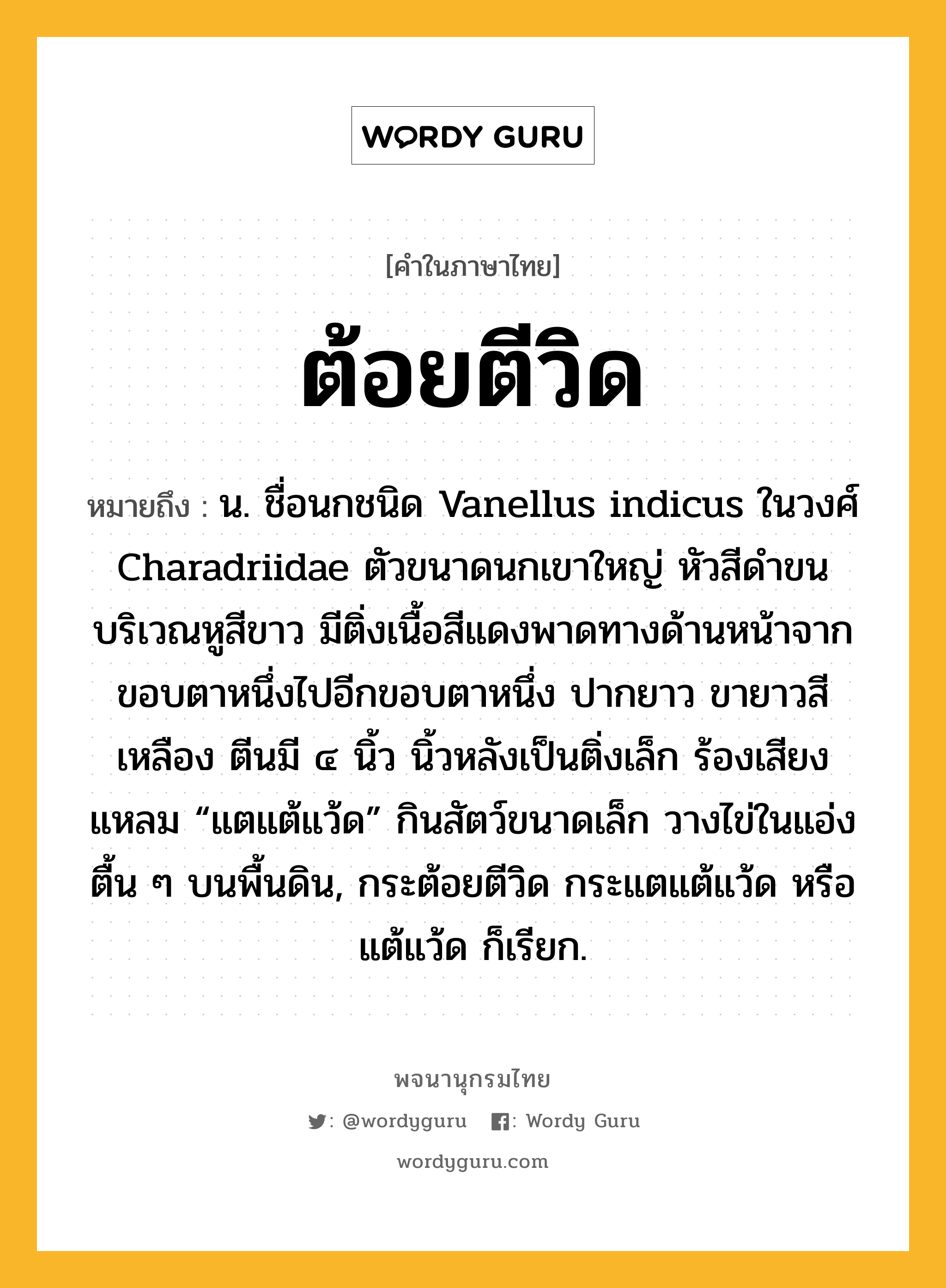 ต้อยตีวิด ความหมาย หมายถึงอะไร?, คำในภาษาไทย ต้อยตีวิด หมายถึง น. ชื่อนกชนิด Vanellus indicus ในวงศ์ Charadriidae ตัวขนาดนกเขาใหญ่ หัวสีดําขนบริเวณหูสีขาว มีติ่งเนื้อสีแดงพาดทางด้านหน้าจากขอบตาหนึ่งไปอีกขอบตาหนึ่ง ปากยาว ขายาวสีเหลือง ตีนมี ๔ นิ้ว นิ้วหลังเป็นติ่งเล็ก ร้องเสียงแหลม “แตแต้แว้ด” กินสัตว์ขนาดเล็ก วางไข่ในแอ่งตื้น ๆ บนพื้นดิน, กระต้อยตีวิด กระแตแต้แว้ด หรือ แต้แว้ด ก็เรียก.