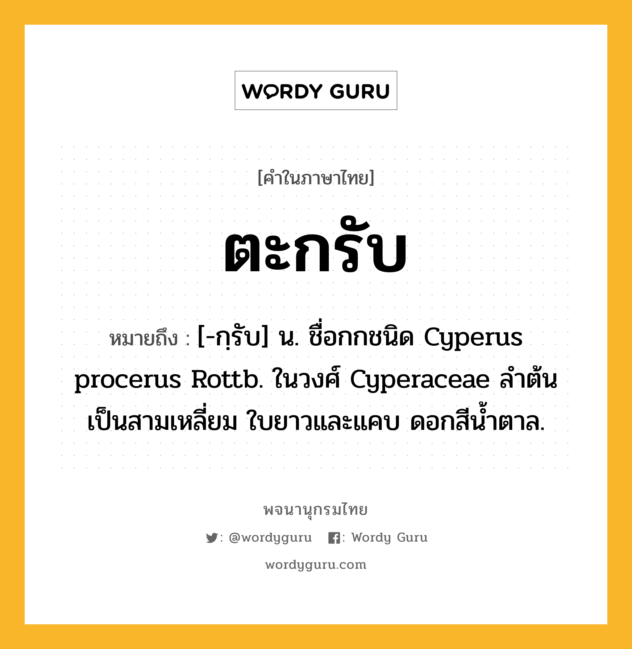 ตะกรับ ความหมาย หมายถึงอะไร?, คำในภาษาไทย ตะกรับ หมายถึง [-กฺรับ] น. ชื่อกกชนิด Cyperus procerus Rottb. ในวงศ์ Cyperaceae ลําต้นเป็นสามเหลี่ยม ใบยาวและแคบ ดอกสีนํ้าตาล.