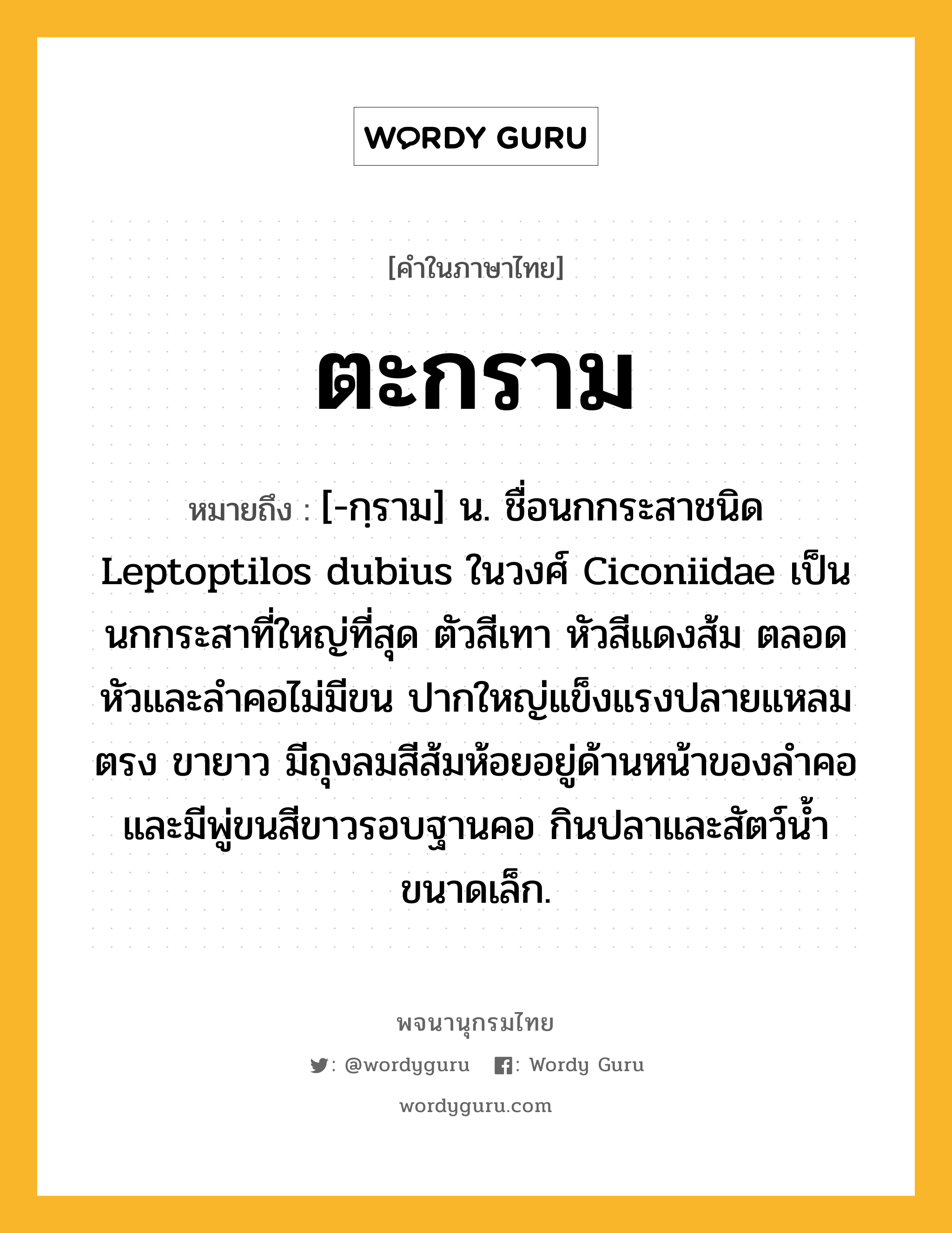 ตะกราม ความหมาย หมายถึงอะไร?, คำในภาษาไทย ตะกราม หมายถึง [-กฺราม] น. ชื่อนกกระสาชนิด Leptoptilos dubius ในวงศ์ Ciconiidae เป็นนกกระสาที่ใหญ่ที่สุด ตัวสีเทา หัวสีแดงส้ม ตลอดหัวและลําคอไม่มีขน ปากใหญ่แข็งแรงปลายแหลมตรง ขายาว มีถุงลมสีส้มห้อยอยู่ด้านหน้าของลําคอ และมีพู่ขนสีขาวรอบฐานคอ กินปลาและสัตว์นํ้าขนาดเล็ก.