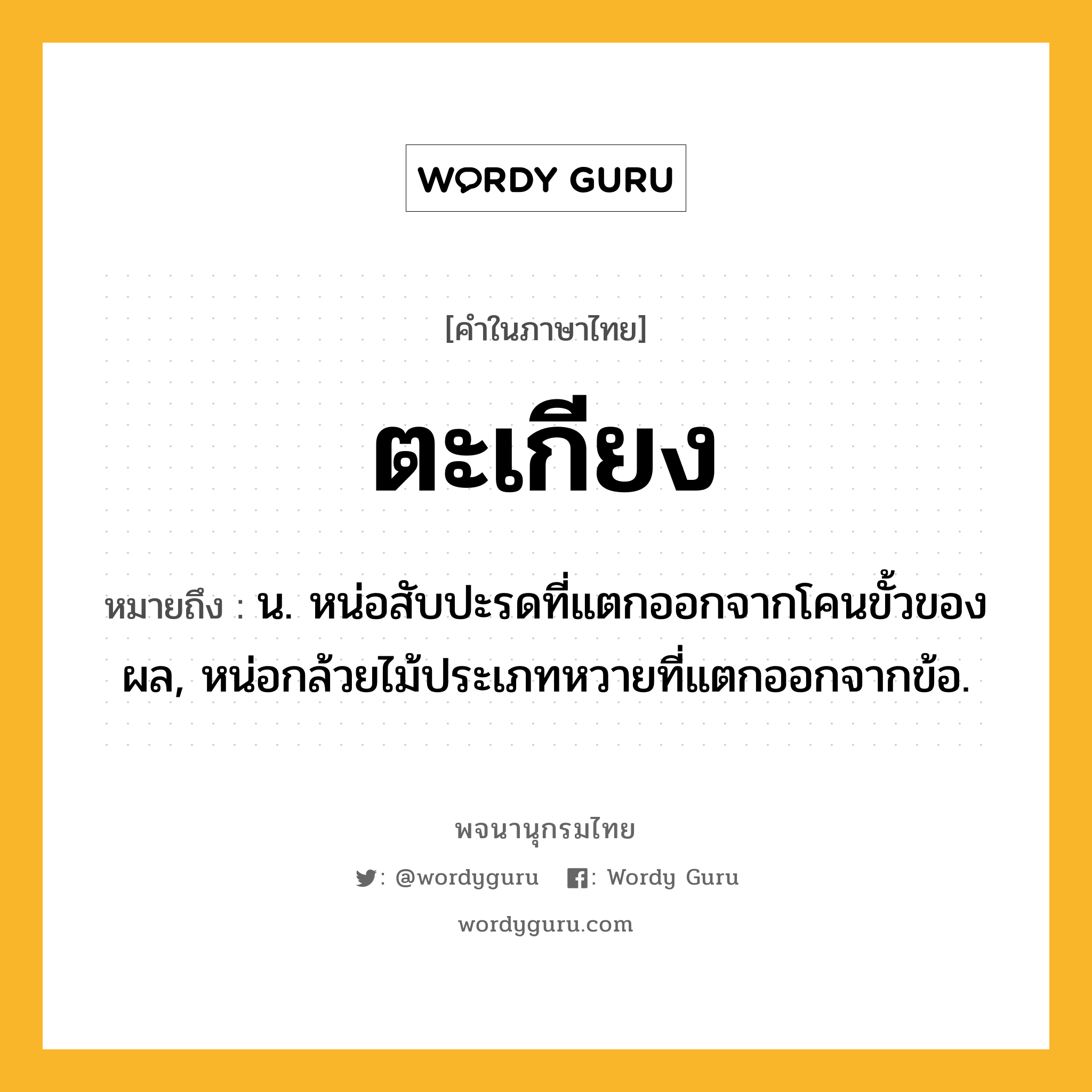 ตะเกียง ความหมาย หมายถึงอะไร?, คำในภาษาไทย ตะเกียง หมายถึง น. หน่อสับปะรดที่แตกออกจากโคนขั้วของผล, หน่อกล้วยไม้ประเภทหวายที่แตกออกจากข้อ.