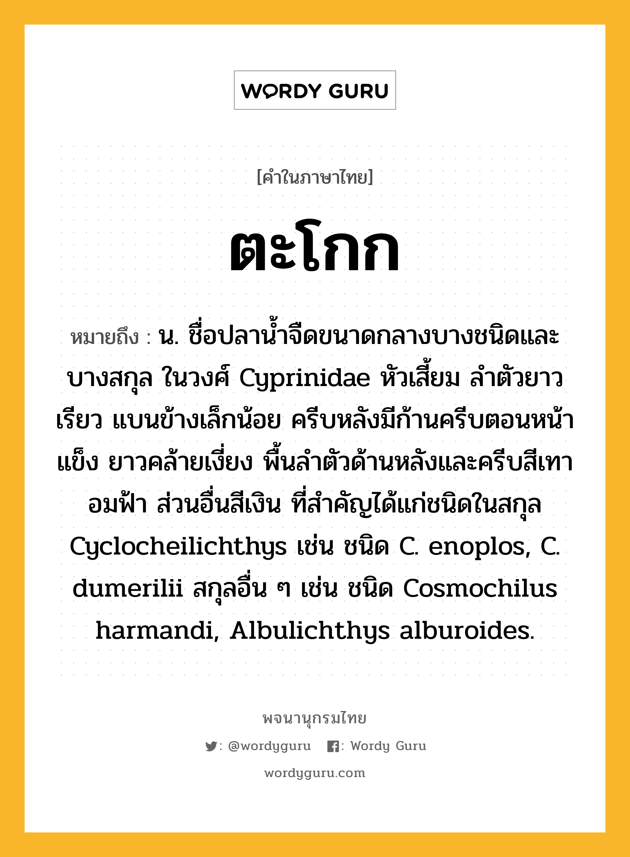 ตะโกก ความหมาย หมายถึงอะไร?, คำในภาษาไทย ตะโกก หมายถึง น. ชื่อปลานํ้าจืดขนาดกลางบางชนิดและบางสกุล ในวงศ์ Cyprinidae หัวเสี้ยม ลําตัวยาวเรียว แบนข้างเล็กน้อย ครีบหลังมีก้านครีบตอนหน้าแข็ง ยาวคล้ายเงี่ยง พื้นลําตัวด้านหลังและครีบสีเทาอมฟ้า ส่วนอื่นสีเงิน ที่สําคัญได้แก่ชนิดในสกุล Cyclocheilichthys เช่น ชนิด C. enoplos, C. dumerilii สกุลอื่น ๆ เช่น ชนิด Cosmochilus harmandi, Albulichthys alburoides.