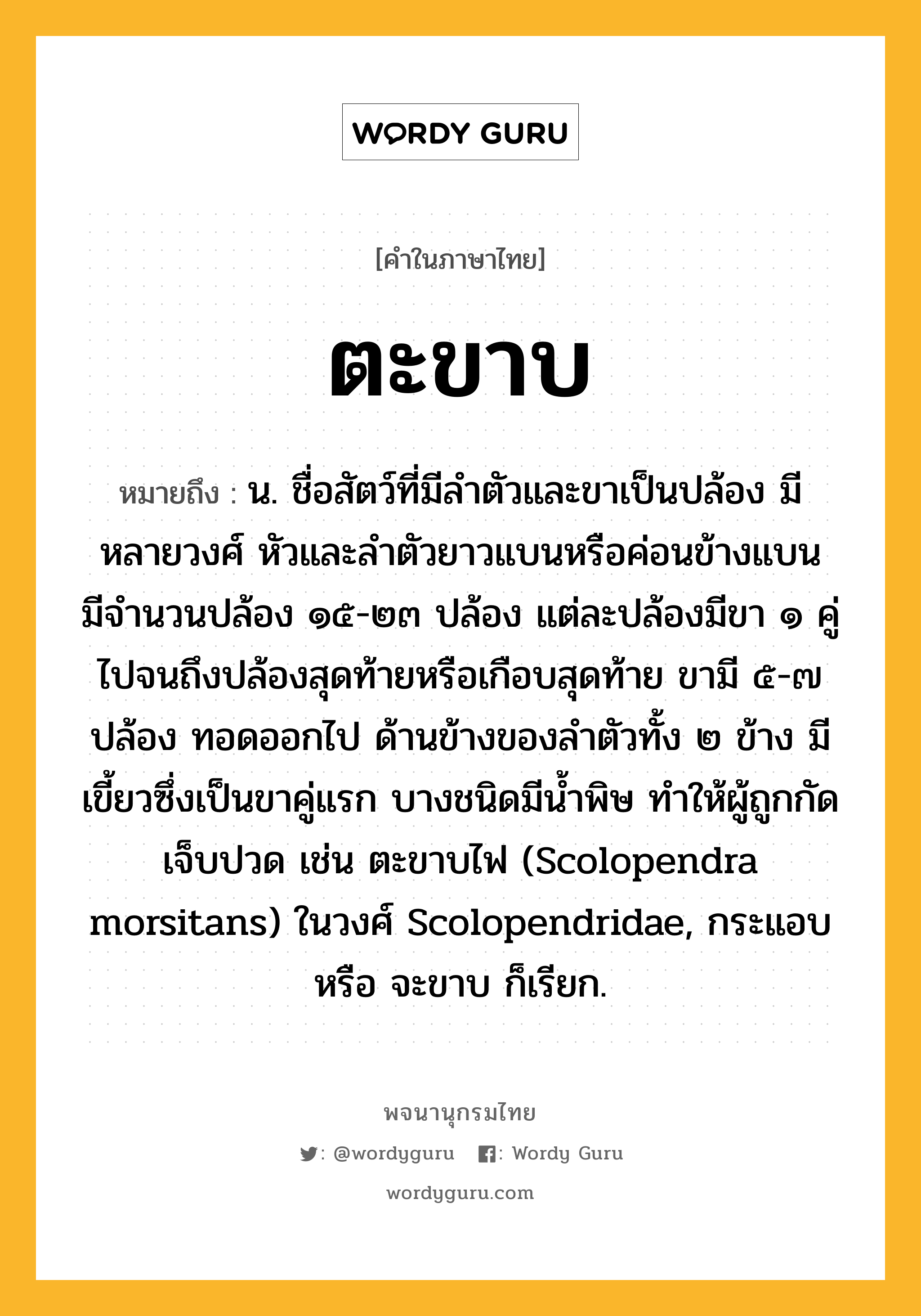 ตะขาบ ความหมาย หมายถึงอะไร?, คำในภาษาไทย ตะขาบ หมายถึง น. ชื่อสัตว์ที่มีลําตัวและขาเป็นปล้อง มีหลายวงศ์ หัวและลําตัวยาวแบนหรือค่อนข้างแบน มีจํานวนปล้อง ๑๕-๒๓ ปล้อง แต่ละปล้องมีขา ๑ คู่ไปจนถึงปล้องสุดท้ายหรือเกือบสุดท้าย ขามี ๕-๗ ปล้อง ทอดออกไป ด้านข้างของลําตัวทั้ง ๒ ข้าง มีเขี้ยวซึ่งเป็นขาคู่แรก บางชนิดมีนํ้าพิษ ทําให้ผู้ถูกกัดเจ็บปวด เช่น ตะขาบไฟ (Scolopendra morsitans) ในวงศ์ Scolopendridae, กระแอบ หรือ จะขาบ ก็เรียก.