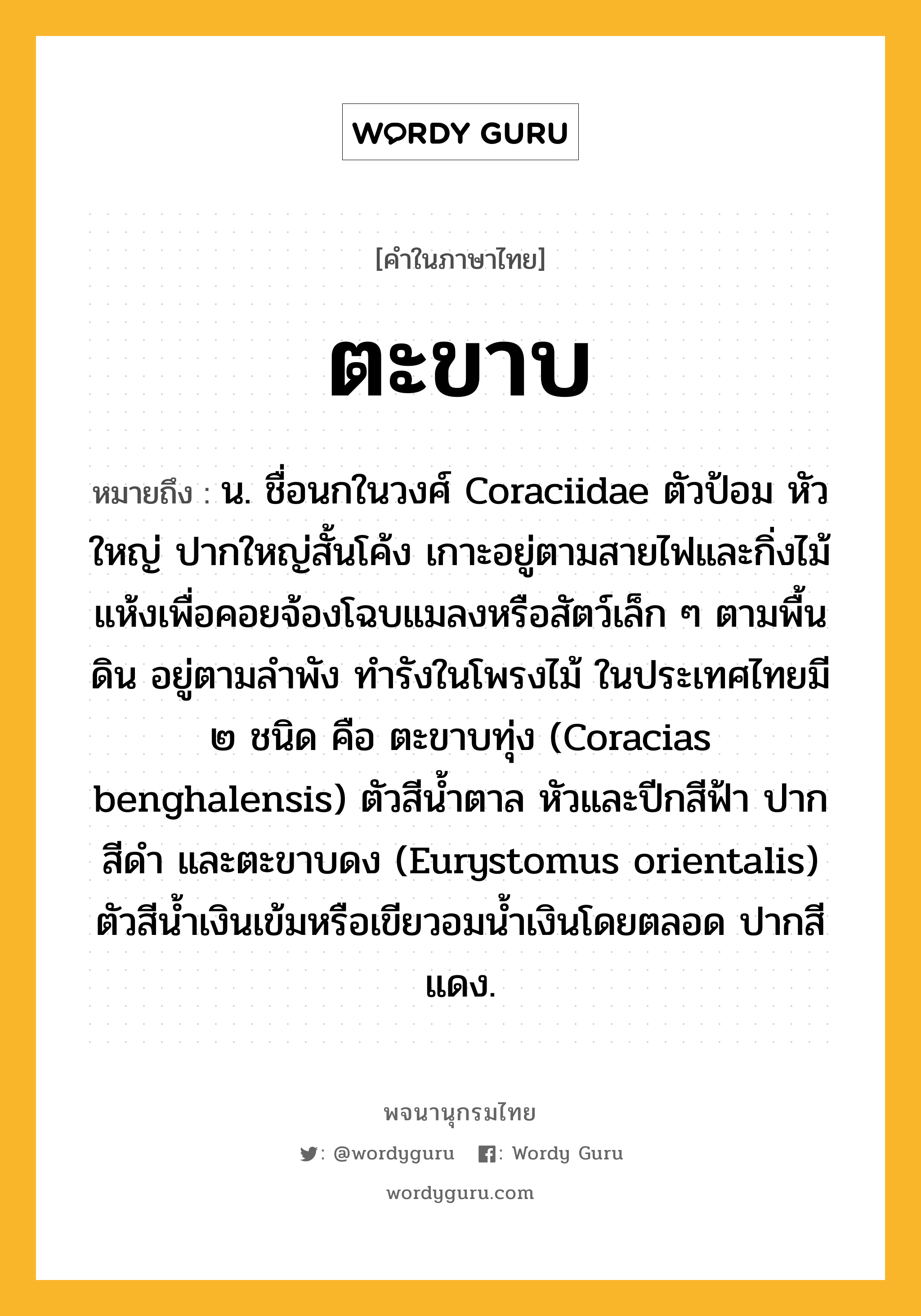 ตะขาบ ความหมาย หมายถึงอะไร?, คำในภาษาไทย ตะขาบ หมายถึง น. ชื่อนกในวงศ์ Coraciidae ตัวป้อม หัวใหญ่ ปากใหญ่สั้นโค้ง เกาะอยู่ตามสายไฟและกิ่งไม้แห้งเพื่อคอยจ้องโฉบแมลงหรือสัตว์เล็ก ๆ ตามพื้นดิน อยู่ตามลําพัง ทํารังในโพรงไม้ ในประเทศไทยมี ๒ ชนิด คือ ตะขาบทุ่ง (Coracias benghalensis) ตัวสีนํ้าตาล หัวและปีกสีฟ้า ปากสีดํา และตะขาบดง (Eurystomus orientalis) ตัวสีนํ้าเงินเข้มหรือเขียวอมน้ำเงินโดยตลอด ปากสีแดง.