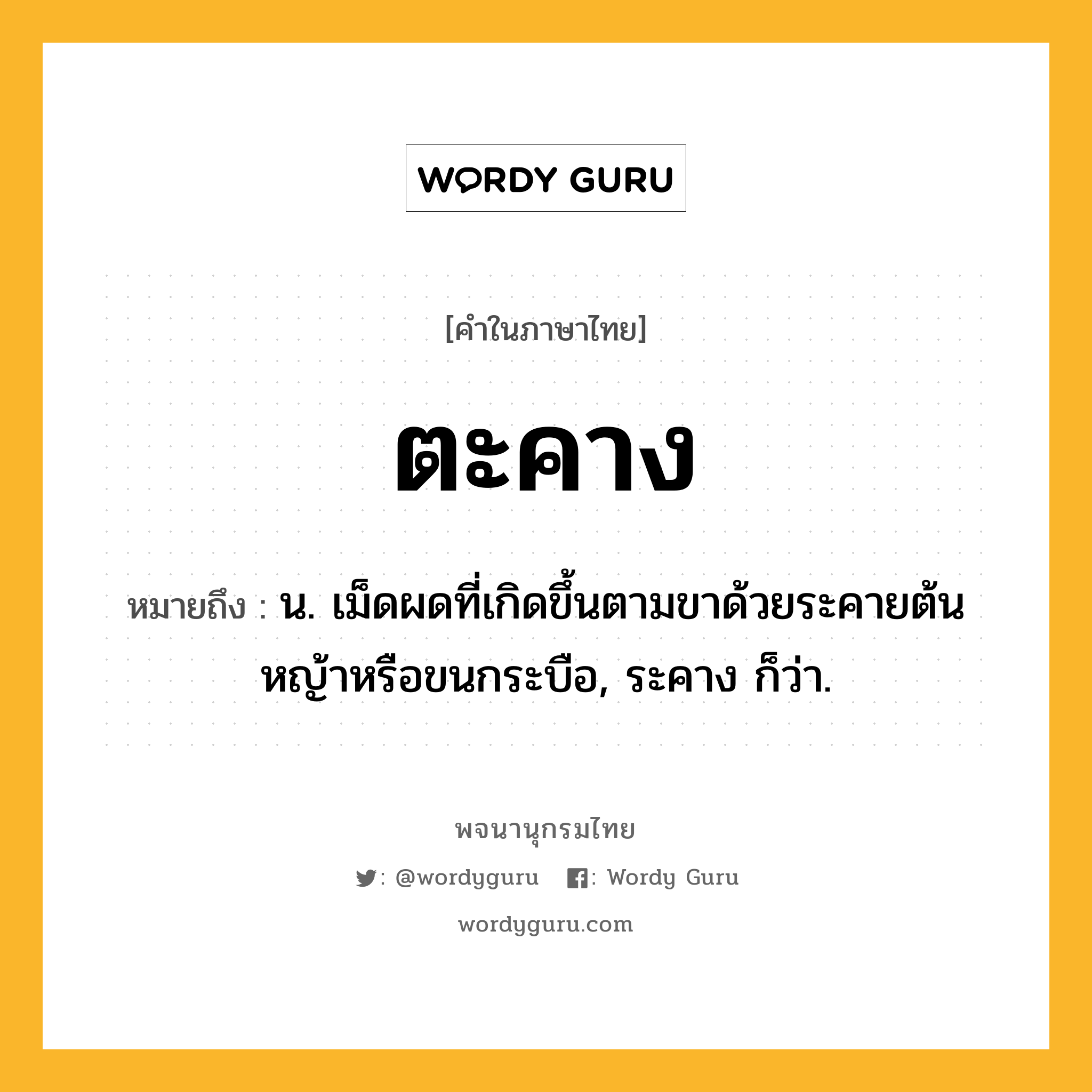 ตะคาง ความหมาย หมายถึงอะไร?, คำในภาษาไทย ตะคาง หมายถึง น. เม็ดผดที่เกิดขึ้นตามขาด้วยระคายต้นหญ้าหรือขนกระบือ, ระคาง ก็ว่า.