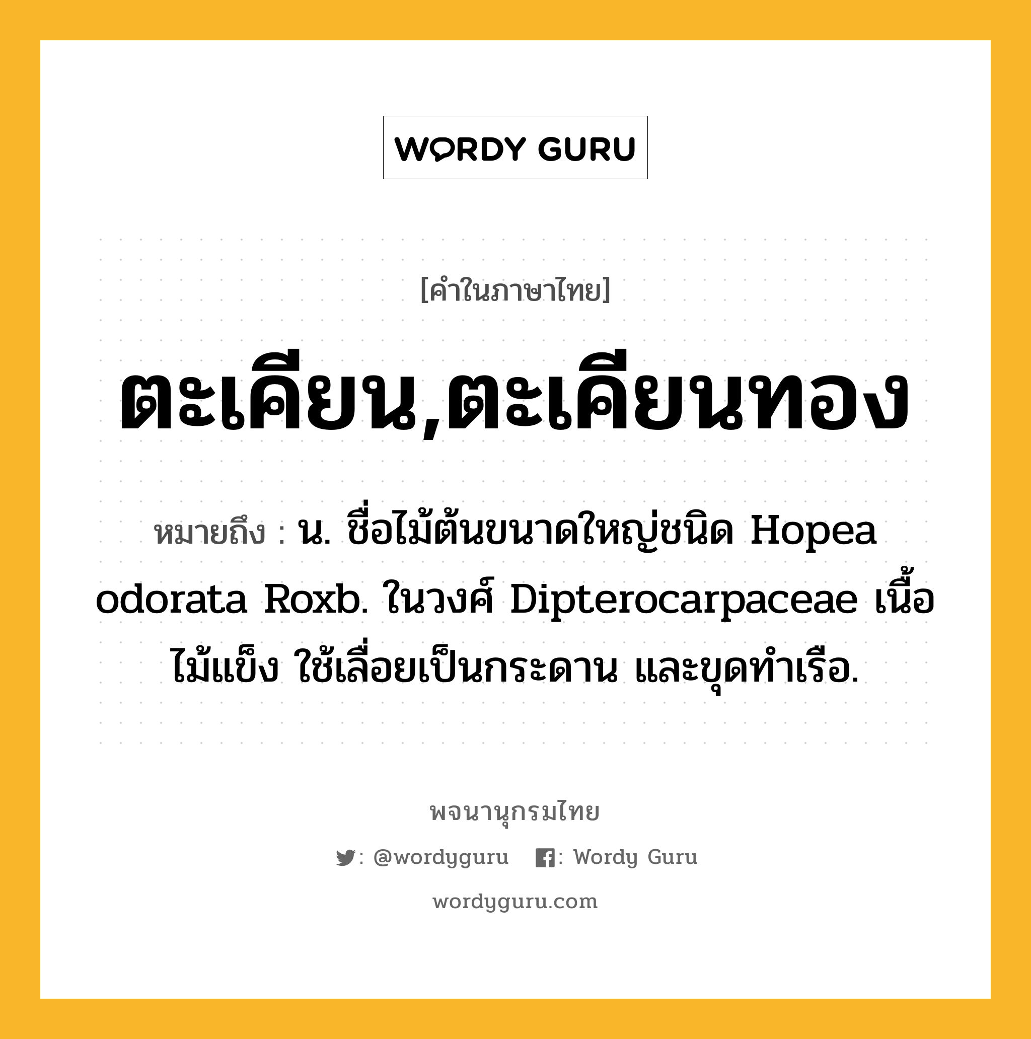 ตะเคียน,ตะเคียนทอง ความหมาย หมายถึงอะไร?, คำในภาษาไทย ตะเคียน,ตะเคียนทอง หมายถึง น. ชื่อไม้ต้นขนาดใหญ่ชนิด Hopea odorata Roxb. ในวงศ์ Dipterocarpaceae เนื้อไม้แข็ง ใช้เลื่อยเป็นกระดาน และขุดทําเรือ.