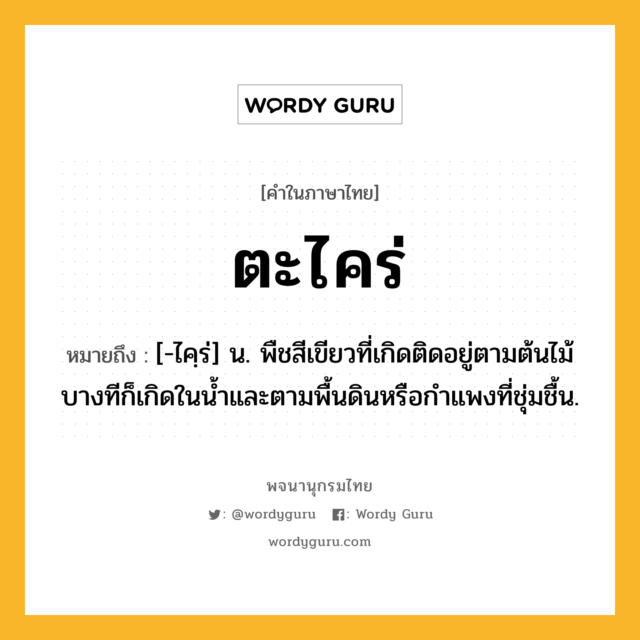 ตะไคร่ ความหมาย หมายถึงอะไร?, คำในภาษาไทย ตะไคร่ หมายถึง [-ไคฺร่] น. พืชสีเขียวที่เกิดติดอยู่ตามต้นไม้ บางทีก็เกิดในนํ้าและตามพื้นดินหรือกําแพงที่ชุ่มชื้น.