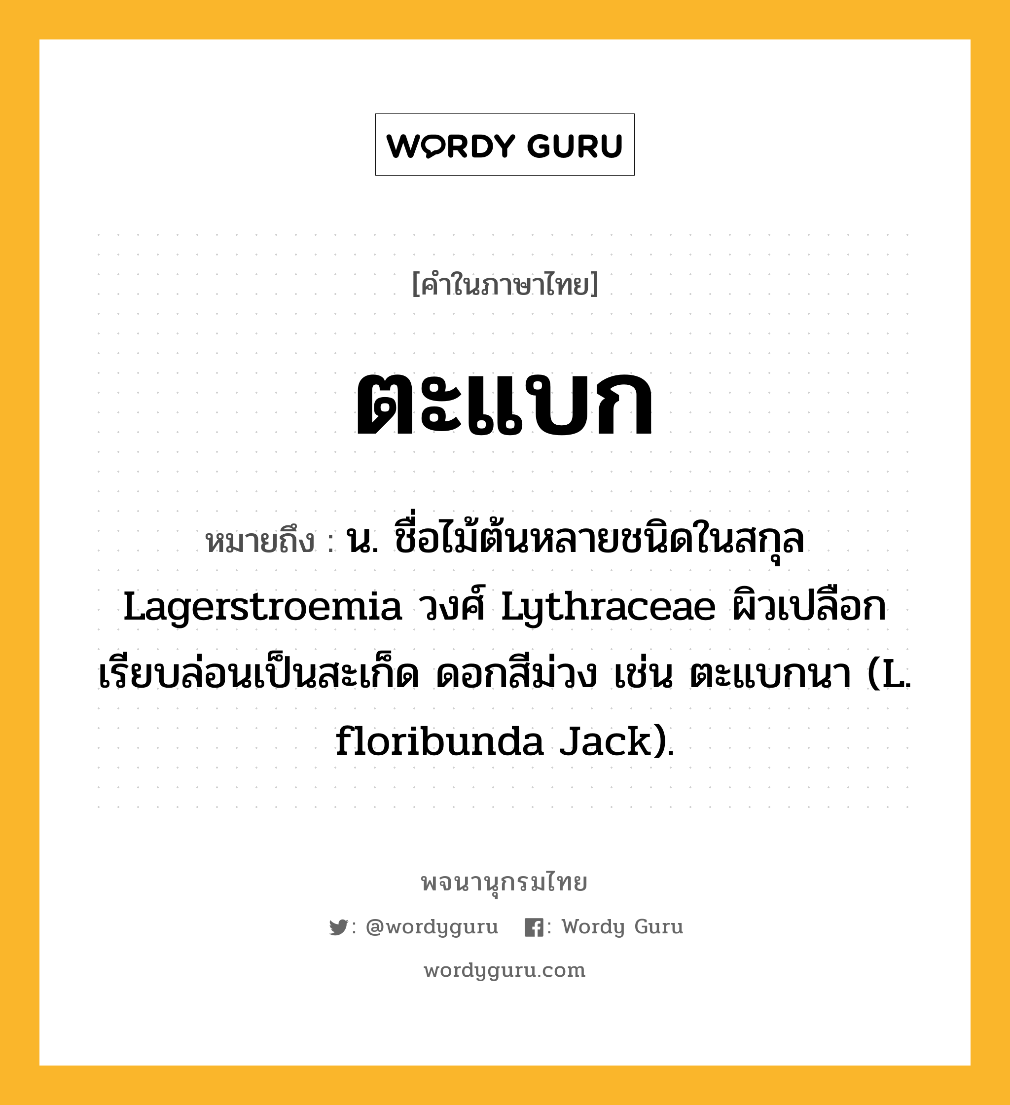 ตะแบก ความหมาย หมายถึงอะไร?, คำในภาษาไทย ตะแบก หมายถึง น. ชื่อไม้ต้นหลายชนิดในสกุล Lagerstroemia วงศ์ Lythraceae ผิวเปลือกเรียบล่อนเป็นสะเก็ด ดอกสีม่วง เช่น ตะแบกนา (L. floribunda Jack).