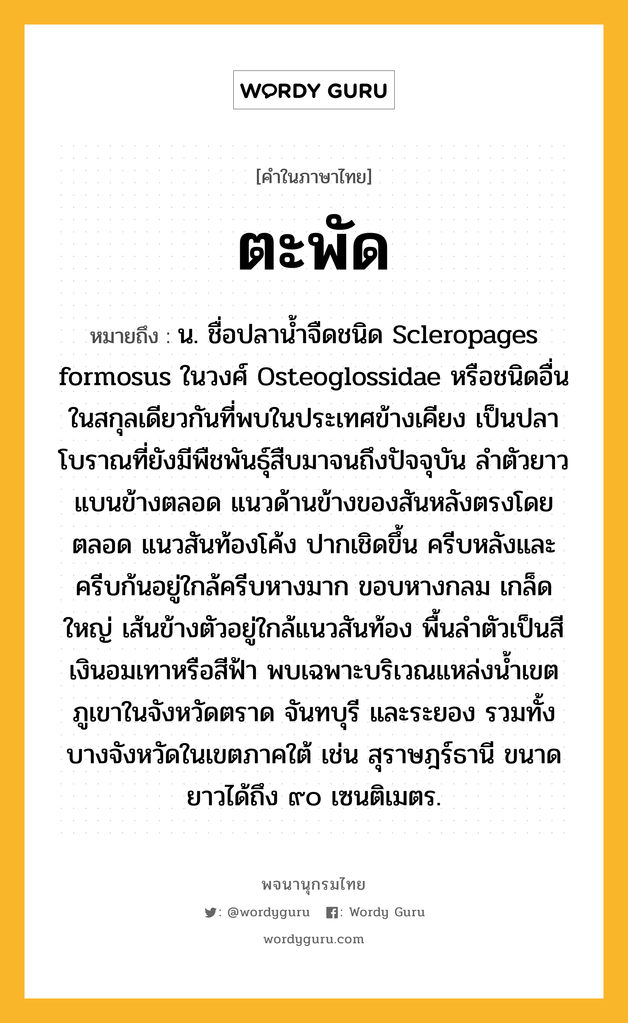 ตะพัด ความหมาย หมายถึงอะไร?, คำในภาษาไทย ตะพัด หมายถึง น. ชื่อปลานํ้าจืดชนิด Scleropages formosus ในวงศ์ Osteoglossidae หรือชนิดอื่นในสกุลเดียวกันที่พบในประเทศข้างเคียง เป็นปลาโบราณที่ยังมีพืชพันธุ์สืบมาจนถึงปัจจุบัน ลําตัวยาว แบนข้างตลอด แนวด้านข้างของสันหลังตรงโดยตลอด แนวสันท้องโค้ง ปากเชิดขึ้น ครีบหลังและครีบก้นอยู่ใกล้ครีบหางมาก ขอบหางกลม เกล็ดใหญ่ เส้นข้างตัวอยู่ใกล้แนวสันท้อง พื้นลําตัวเป็นสีเงินอมเทาหรือสีฟ้า พบเฉพาะบริเวณแหล่งนํ้าเขตภูเขาในจังหวัดตราด จันทบุรี และระยอง รวมทั้งบางจังหวัดในเขตภาคใต้ เช่น สุราษฎร์ธานี ขนาดยาวได้ถึง ๙๐ เซนติเมตร.