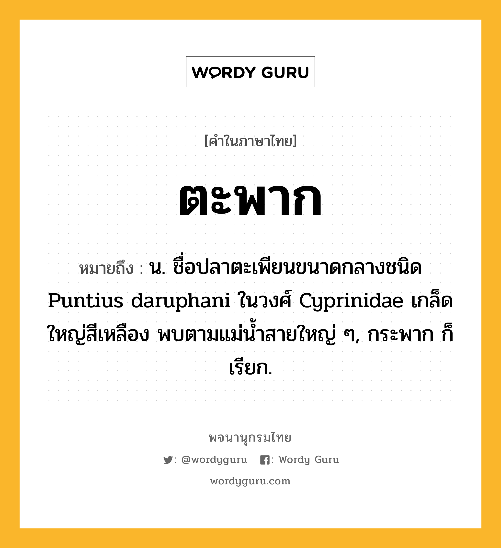 ตะพาก ความหมาย หมายถึงอะไร?, คำในภาษาไทย ตะพาก หมายถึง น. ชื่อปลาตะเพียนขนาดกลางชนิด Puntius daruphani ในวงศ์ Cyprinidae เกล็ดใหญ่สีเหลือง พบตามแม่นํ้าสายใหญ่ ๆ, กระพาก ก็เรียก.