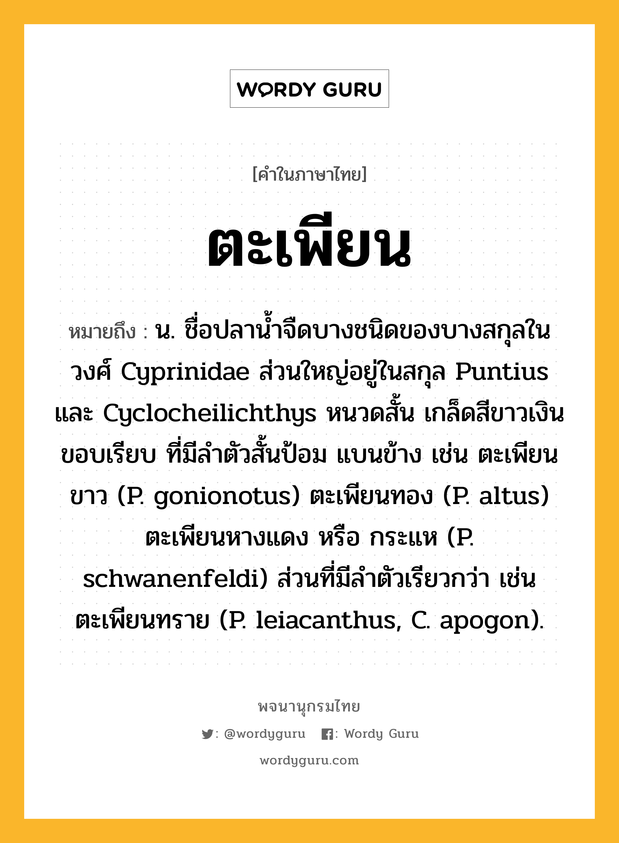 ตะเพียน ความหมาย หมายถึงอะไร?, คำในภาษาไทย ตะเพียน หมายถึง น. ชื่อปลานํ้าจืดบางชนิดของบางสกุลในวงศ์ Cyprinidae ส่วนใหญ่อยู่ในสกุล Puntius และ Cyclocheilichthys หนวดสั้น เกล็ดสีขาวเงินขอบเรียบ ที่มีลําตัวสั้นป้อม แบนข้าง เช่น ตะเพียนขาว (P. gonionotus) ตะเพียนทอง (P. altus) ตะเพียนหางแดง หรือ กระแห (P. schwanenfeldi) ส่วนที่มีลําตัวเรียวกว่า เช่น ตะเพียนทราย (P. leiacanthus, C. apogon).