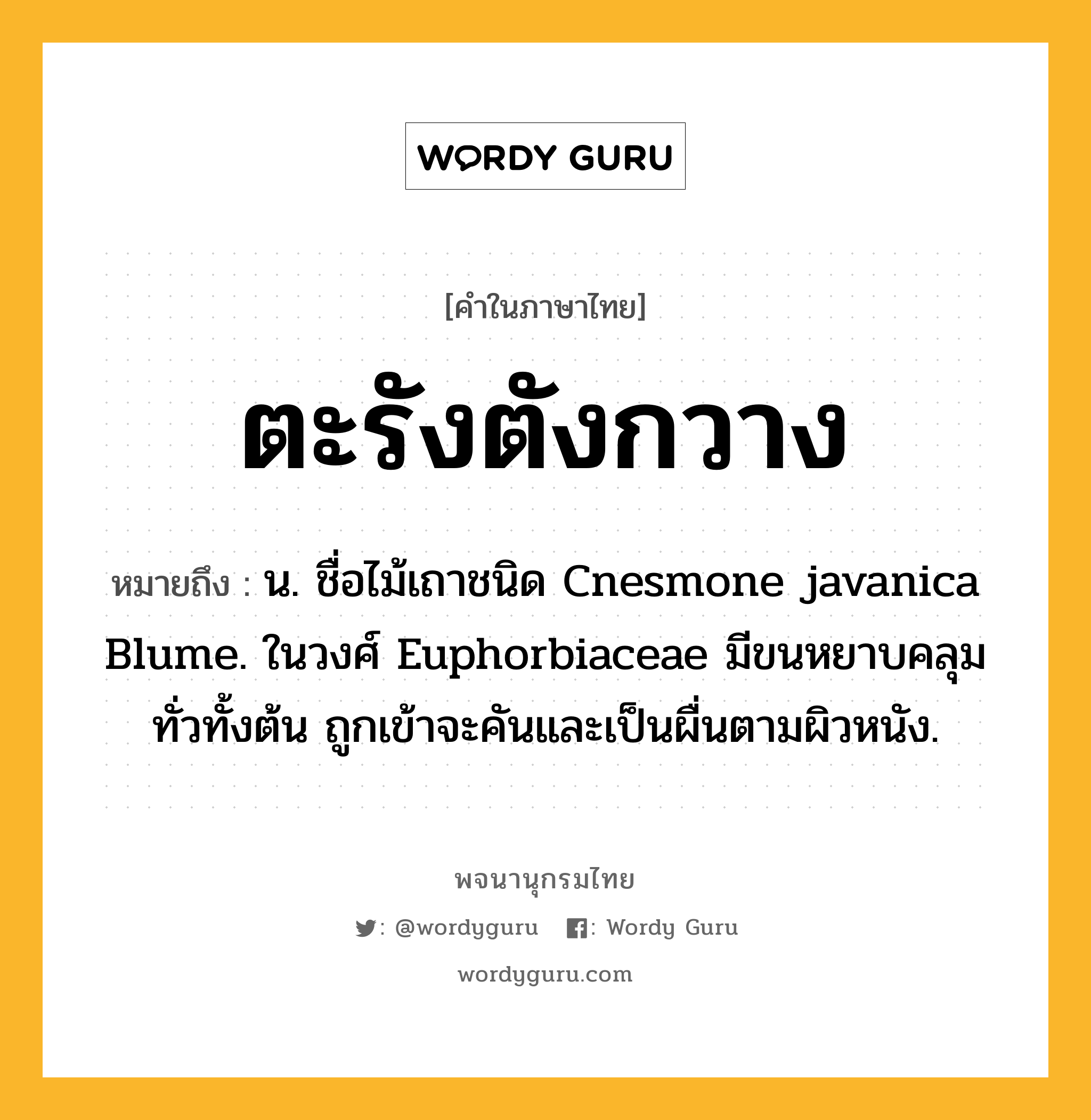 ตะรังตังกวาง ความหมาย หมายถึงอะไร?, คำในภาษาไทย ตะรังตังกวาง หมายถึง น. ชื่อไม้เถาชนิด Cnesmone javanica Blume. ในวงศ์ Euphorbiaceae มีขนหยาบคลุมทั่วทั้งต้น ถูกเข้าจะคันและเป็นผื่นตามผิวหนัง.