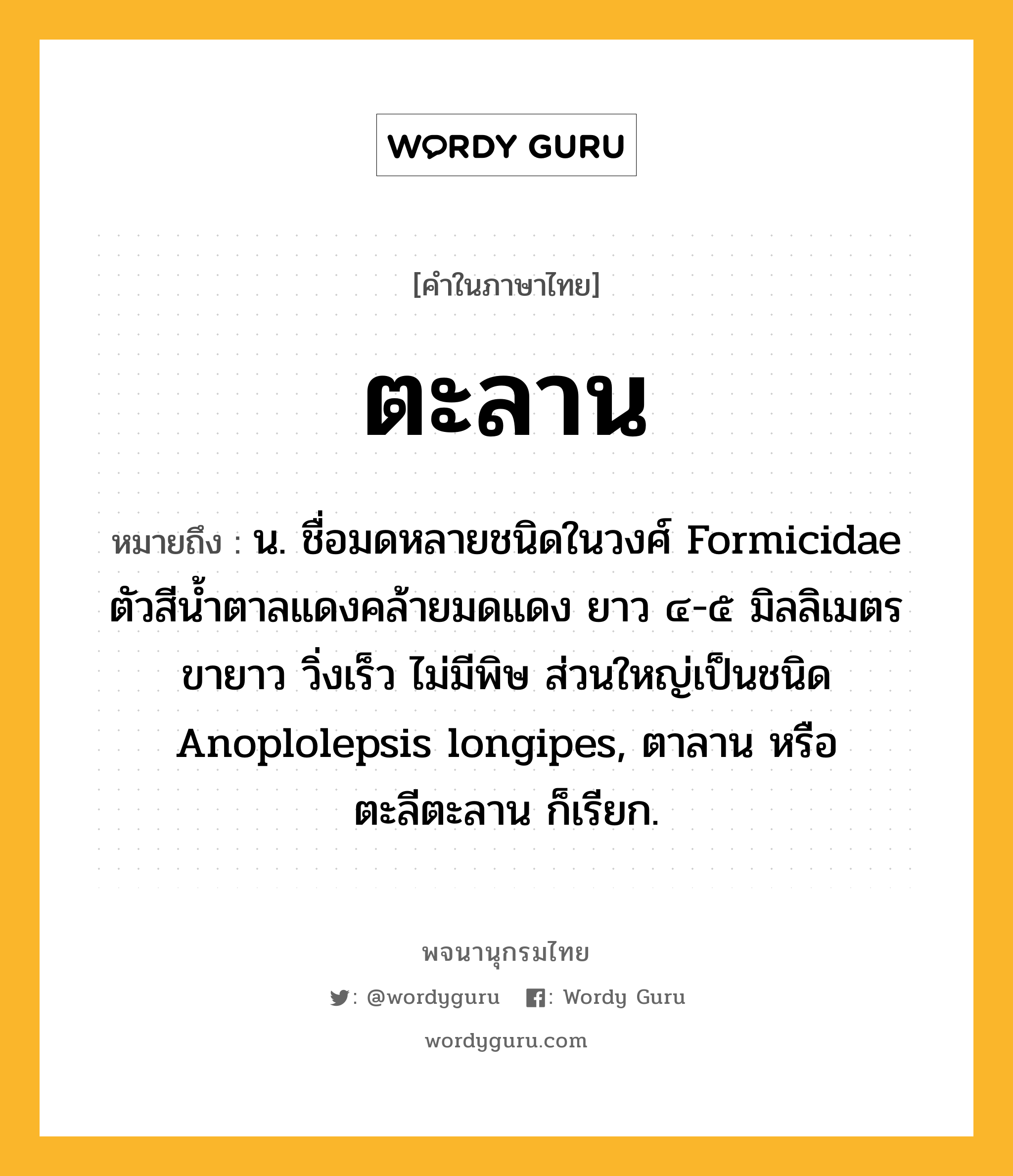 ตะลาน ความหมาย หมายถึงอะไร?, คำในภาษาไทย ตะลาน หมายถึง น. ชื่อมดหลายชนิดในวงศ์ Formicidae ตัวสีนํ้าตาลแดงคล้ายมดแดง ยาว ๔-๕ มิลลิเมตร ขายาว วิ่งเร็ว ไม่มีพิษ ส่วนใหญ่เป็นชนิด Anoplolepsis longipes, ตาลาน หรือ ตะลีตะลาน ก็เรียก.