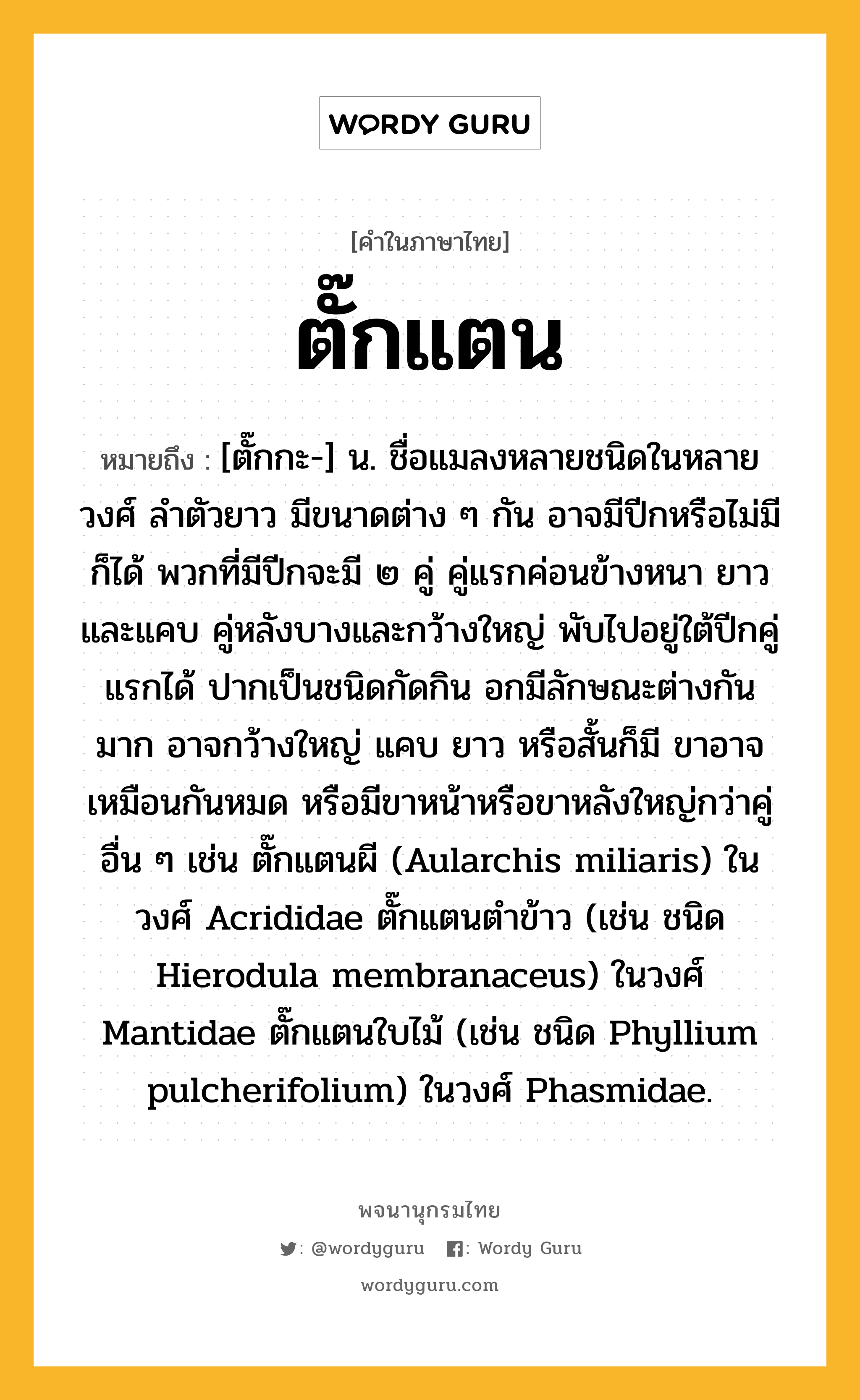 ตั๊กแตน ความหมาย หมายถึงอะไร?, คำในภาษาไทย ตั๊กแตน หมายถึง [ตั๊กกะ-] น. ชื่อแมลงหลายชนิดในหลายวงศ์ ลําตัวยาว มีขนาดต่าง ๆ กัน อาจมีปีกหรือไม่มีก็ได้ พวกที่มีปีกจะมี ๒ คู่ คู่แรกค่อนข้างหนา ยาวและแคบ คู่หลังบางและกว้างใหญ่ พับไปอยู่ใต้ปีกคู่แรกได้ ปากเป็นชนิดกัดกิน อกมีลักษณะต่างกันมาก อาจกว้างใหญ่ แคบ ยาว หรือสั้นก็มี ขาอาจเหมือนกันหมด หรือมีขาหน้าหรือขาหลังใหญ่กว่าคู่อื่น ๆ เช่น ตั๊กแตนผี (Aularchis miliaris) ในวงศ์ Acrididae ตั๊กแตนตําข้าว (เช่น ชนิด Hierodula membranaceus) ในวงศ์ Mantidae ตั๊กแตนใบไม้ (เช่น ชนิด Phyllium pulcherifolium) ในวงศ์ Phasmidae.