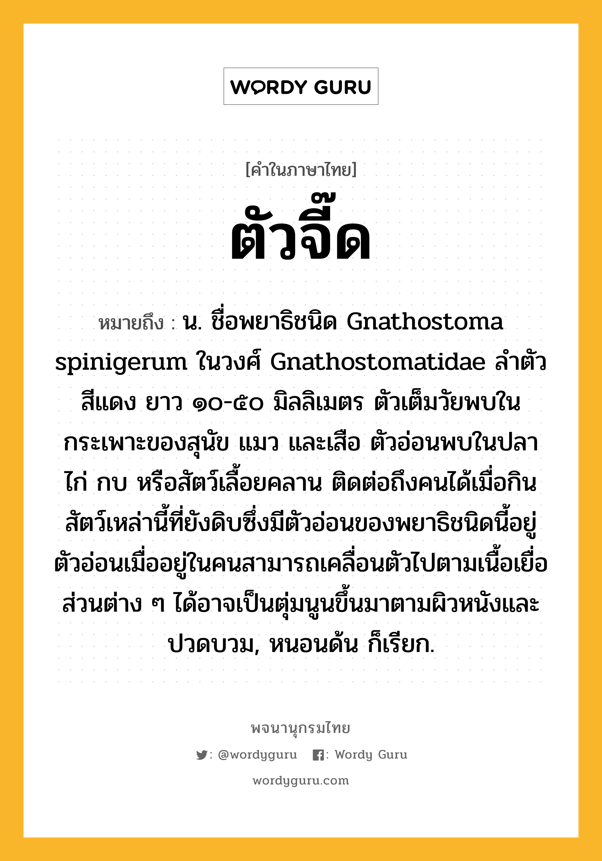 ตัวจี๊ด ความหมาย หมายถึงอะไร?, คำในภาษาไทย ตัวจี๊ด หมายถึง น. ชื่อพยาธิชนิด Gnathostoma spinigerum ในวงศ์ Gnathostomatidae ลําตัวสีแดง ยาว ๑๐-๕๐ มิลลิเมตร ตัวเต็มวัยพบในกระเพาะของสุนัข แมว และเสือ ตัวอ่อนพบในปลา ไก่ กบ หรือสัตว์เลื้อยคลาน ติดต่อถึงคนได้เมื่อกินสัตว์เหล่านี้ที่ยังดิบซึ่งมีตัวอ่อนของพยาธิชนิดนี้อยู่ ตัวอ่อนเมื่ออยู่ในคนสามารถเคลื่อนตัวไปตามเนื้อเยื่อส่วนต่าง ๆ ได้อาจเป็นตุ่มนูนขึ้นมาตามผิวหนังและปวดบวม, หนอนด้น ก็เรียก.