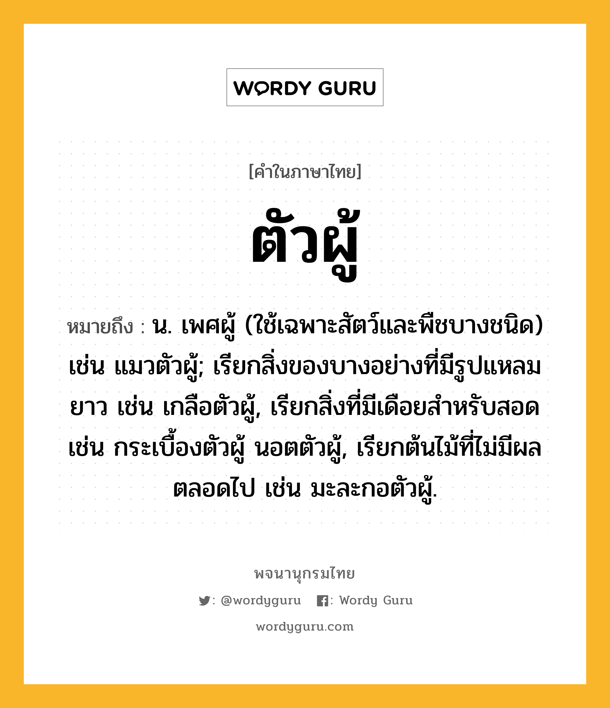 ตัวผู้ ความหมาย หมายถึงอะไร?, คำในภาษาไทย ตัวผู้ หมายถึง น. เพศผู้ (ใช้เฉพาะสัตว์และพืชบางชนิด) เช่น แมวตัวผู้; เรียกสิ่งของบางอย่างที่มีรูปแหลมยาว เช่น เกลือตัวผู้, เรียกสิ่งที่มีเดือยสําหรับสอด เช่น กระเบื้องตัวผู้ นอตตัวผู้, เรียกต้นไม้ที่ไม่มีผลตลอดไป เช่น มะละกอตัวผู้.