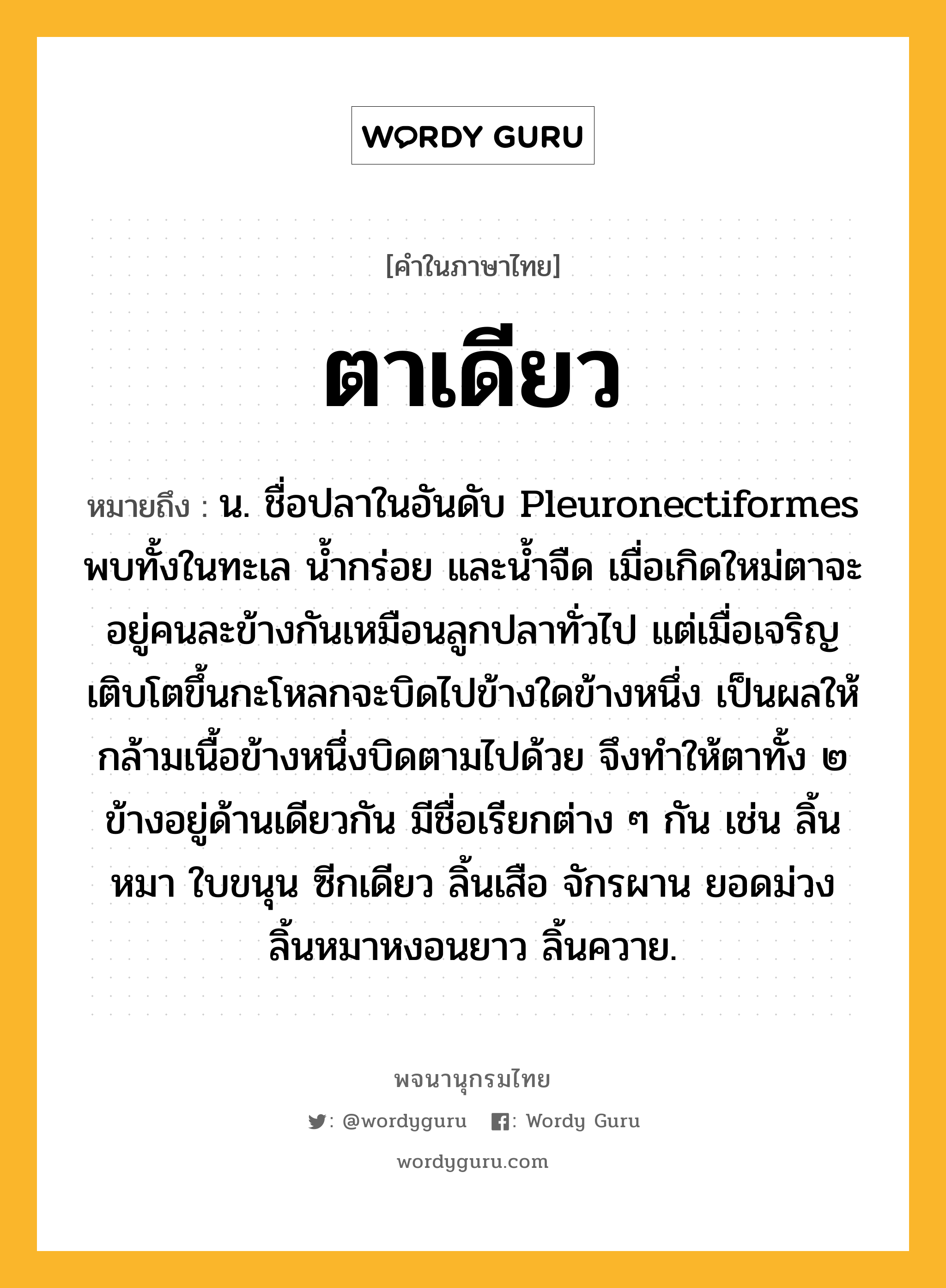 ตาเดียว ความหมาย หมายถึงอะไร?, คำในภาษาไทย ตาเดียว หมายถึง น. ชื่อปลาในอันดับ Pleuronectiformes พบทั้งในทะเล นํ้ากร่อย และนํ้าจืด เมื่อเกิดใหม่ตาจะอยู่คนละข้างกันเหมือนลูกปลาทั่วไป แต่เมื่อเจริญเติบโตขึ้นกะโหลกจะบิดไปข้างใดข้างหนึ่ง เป็นผลให้กล้ามเนื้อข้างหนึ่งบิดตามไปด้วย จึงทำให้ตาทั้ง ๒ ข้างอยู่ด้านเดียวกัน มีชื่อเรียกต่าง ๆ กัน เช่น ลิ้นหมา ใบขนุน ซีกเดียว ลิ้นเสือ จักรผาน ยอดม่วง ลิ้นหมาหงอนยาว ลิ้นควาย.