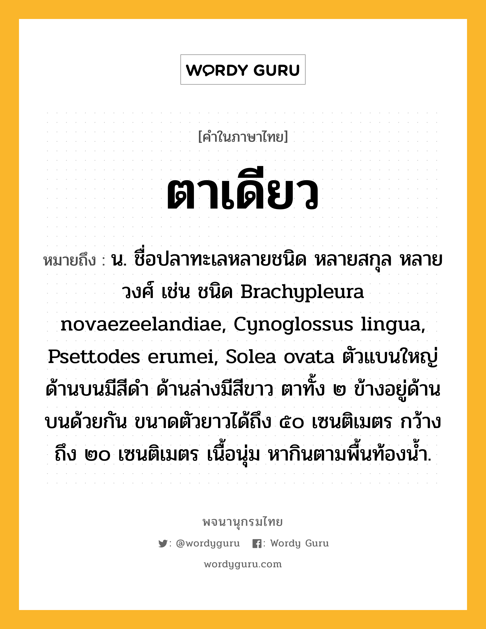 ตาเดียว ความหมาย หมายถึงอะไร?, คำในภาษาไทย ตาเดียว หมายถึง น. ชื่อปลาทะเลหลายชนิด หลายสกุล หลายวงศ์ เช่น ชนิด Brachypleura novaezeelandiae, Cynoglossus lingua, Psettodes erumei, Solea ovata ตัวแบนใหญ่ ด้านบนมีสีดำ ด้านล่างมีสีขาว ตาทั้ง ๒ ข้างอยู่ด้านบนด้วยกัน ขนาดตัวยาวได้ถึง ๕๐ เซนติเมตร กว้างถึง ๒๐ เซนติเมตร เนื้อนุ่ม หากินตามพื้นท้องน้ำ.