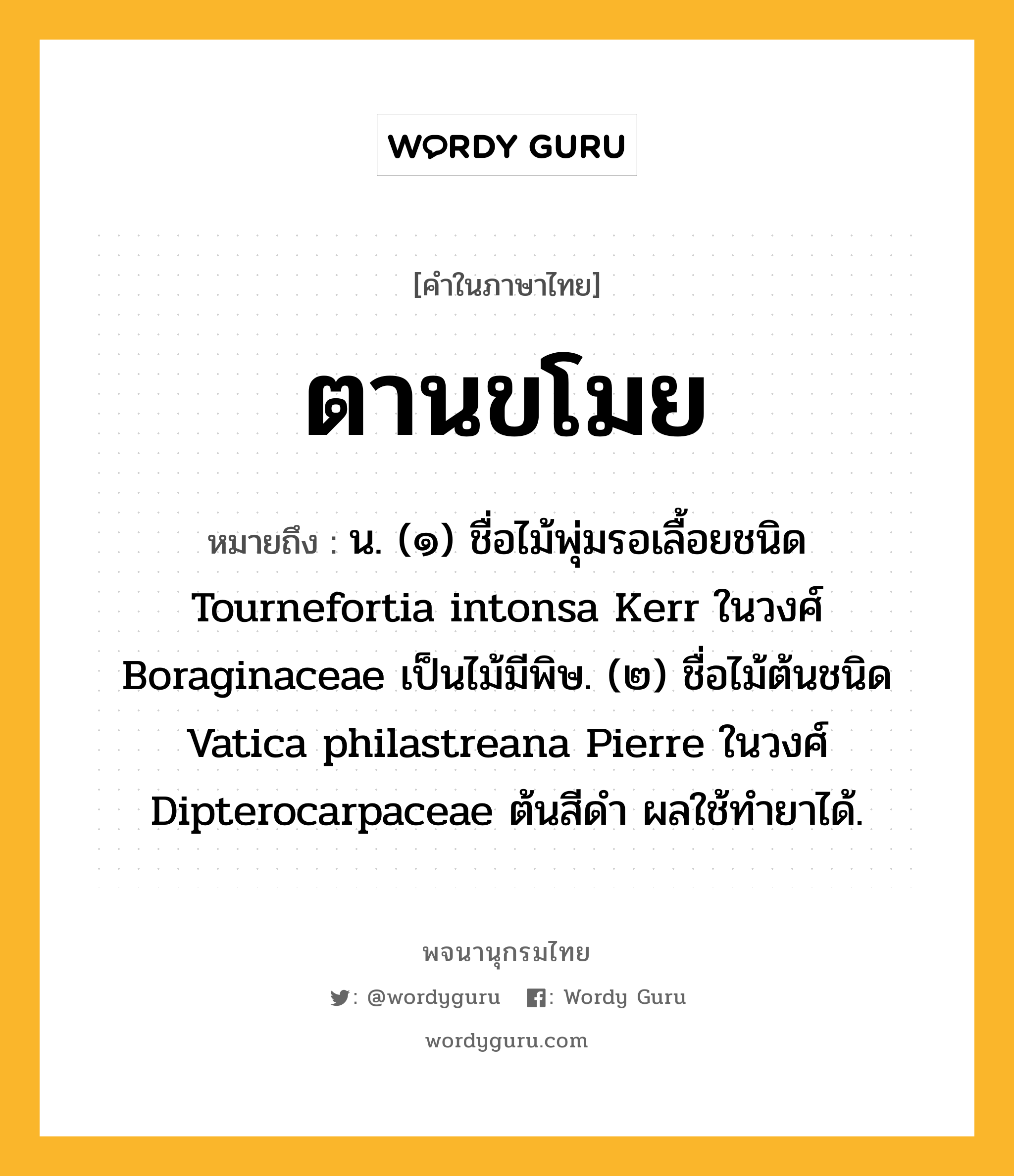 ตานขโมย ความหมาย หมายถึงอะไร?, คำในภาษาไทย ตานขโมย หมายถึง น. (๑) ชื่อไม้พุ่มรอเลื้อยชนิด Tournefortia intonsa Kerr ในวงศ์ Boraginaceae เป็นไม้มีพิษ. (๒) ชื่อไม้ต้นชนิด Vatica philastreana Pierre ในวงศ์ Dipterocarpaceae ต้นสีดํา ผลใช้ทํายาได้.