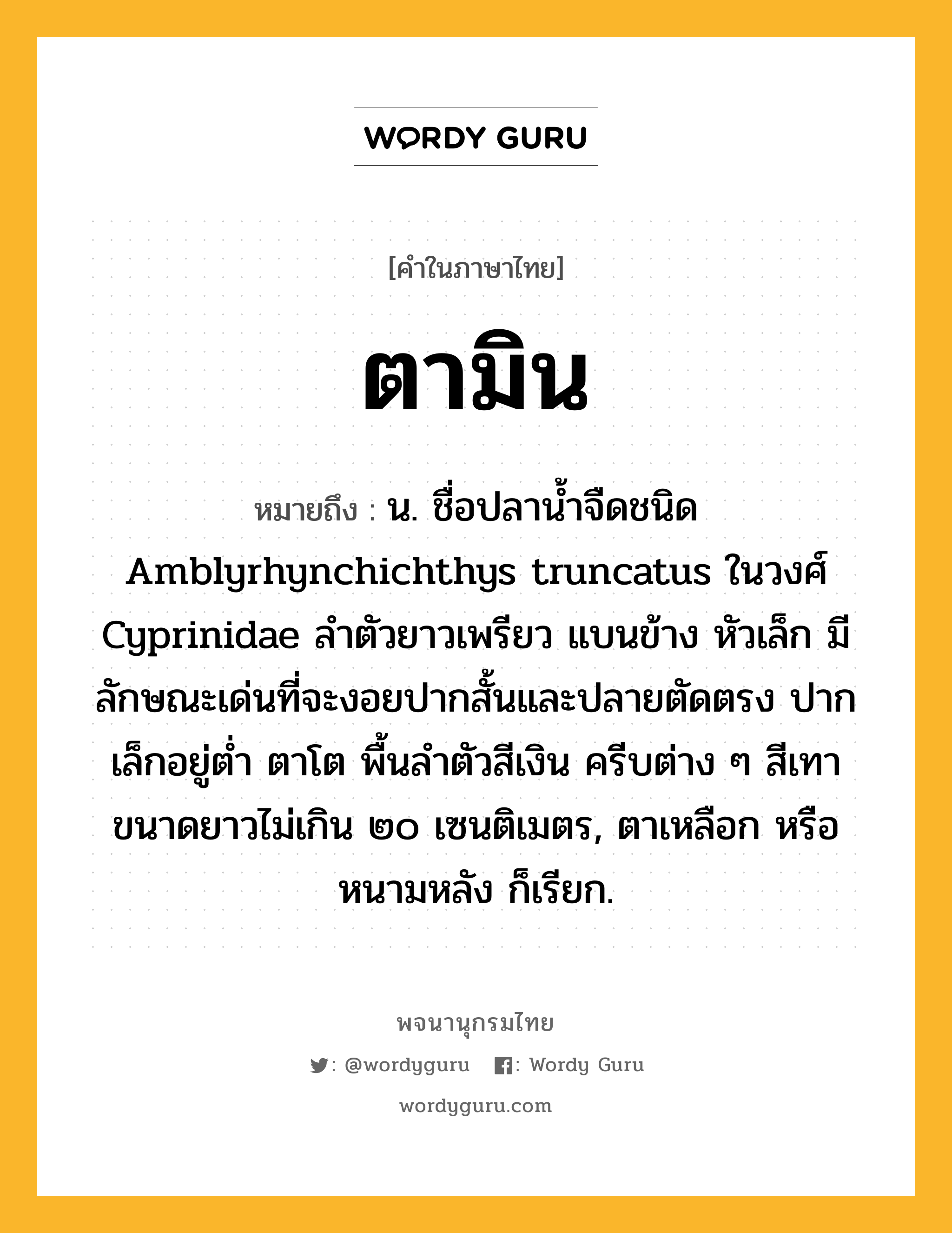 ตามิน ความหมาย หมายถึงอะไร?, คำในภาษาไทย ตามิน หมายถึง น. ชื่อปลานํ้าจืดชนิด Amblyrhynchichthys truncatus ในวงศ์ Cyprinidae ลําตัวยาวเพรียว แบนข้าง หัวเล็ก มีลักษณะเด่นที่จะงอยปากสั้นและปลายตัดตรง ปากเล็กอยู่ตํ่า ตาโต พื้นลําตัวสีเงิน ครีบต่าง ๆ สีเทา ขนาดยาวไม่เกิน ๒๐ เซนติเมตร, ตาเหลือก หรือ หนามหลัง ก็เรียก.