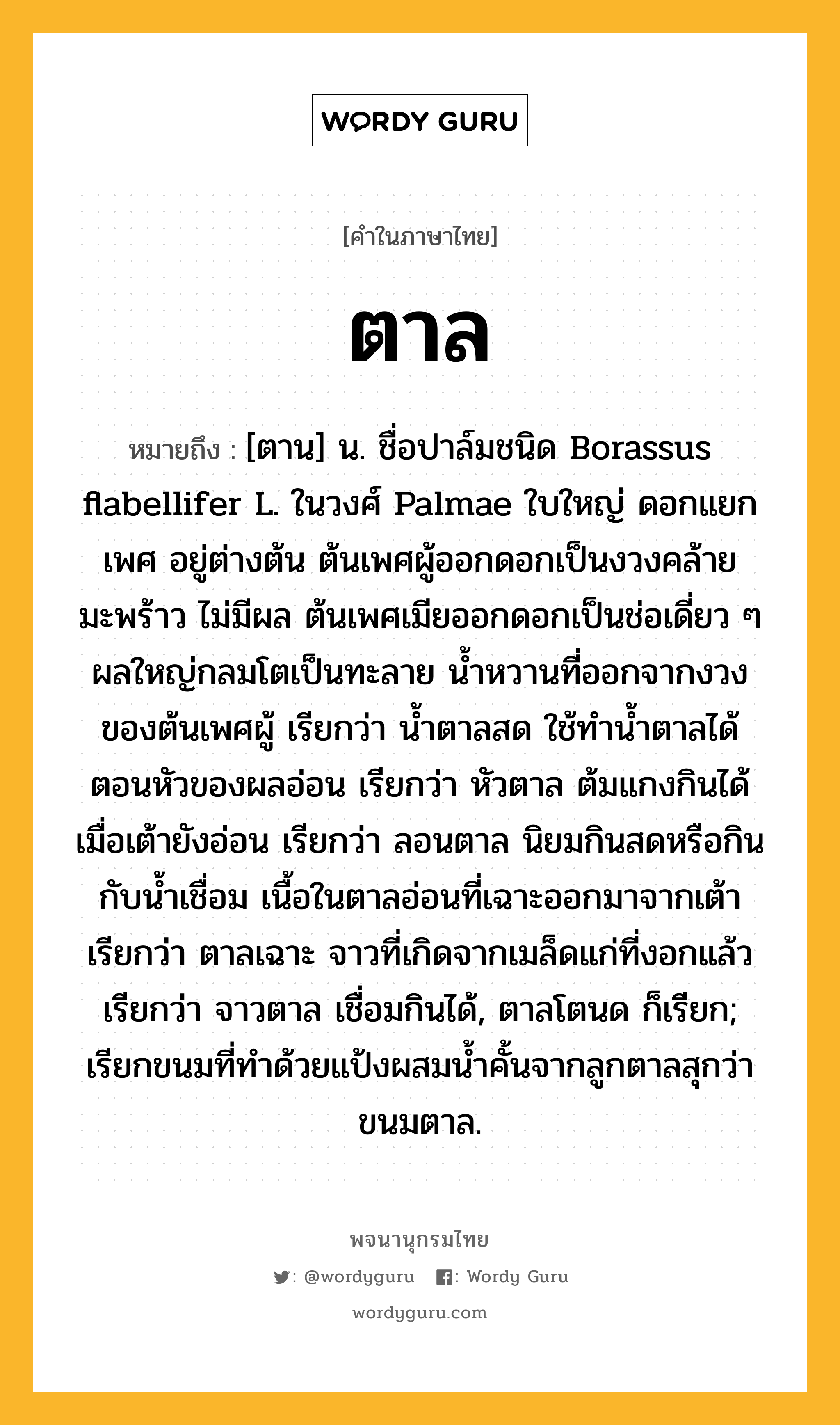 ตาล ความหมาย หมายถึงอะไร?, คำในภาษาไทย ตาล หมายถึง [ตาน] น. ชื่อปาล์มชนิด Borassus flabellifer L. ในวงศ์ Palmae ใบใหญ่ ดอกแยกเพศ อยู่ต่างต้น ต้นเพศผู้ออกดอกเป็นงวงคล้ายมะพร้าว ไม่มีผล ต้นเพศเมียออกดอกเป็นช่อเดี่ยว ๆ ผลใหญ่กลมโตเป็นทะลาย น้ำหวานที่ออกจากงวงของต้นเพศผู้ เรียกว่า น้ำตาลสด ใช้ทำน้ำตาลได้ ตอนหัวของผลอ่อน เรียกว่า หัวตาล ต้มแกงกินได้ เมื่อเต้ายังอ่อน เรียกว่า ลอนตาล นิยมกินสดหรือกินกับนํ้าเชื่อม เนื้อในตาลอ่อนที่เฉาะออกมาจากเต้า เรียกว่า ตาลเฉาะ จาวที่เกิดจากเมล็ดแก่ที่งอกแล้ว เรียกว่า จาวตาล เชื่อมกินได้, ตาลโตนด ก็เรียก; เรียกขนมที่ทําด้วยแป้งผสมนํ้าคั้นจากลูกตาลสุกว่า ขนมตาล.