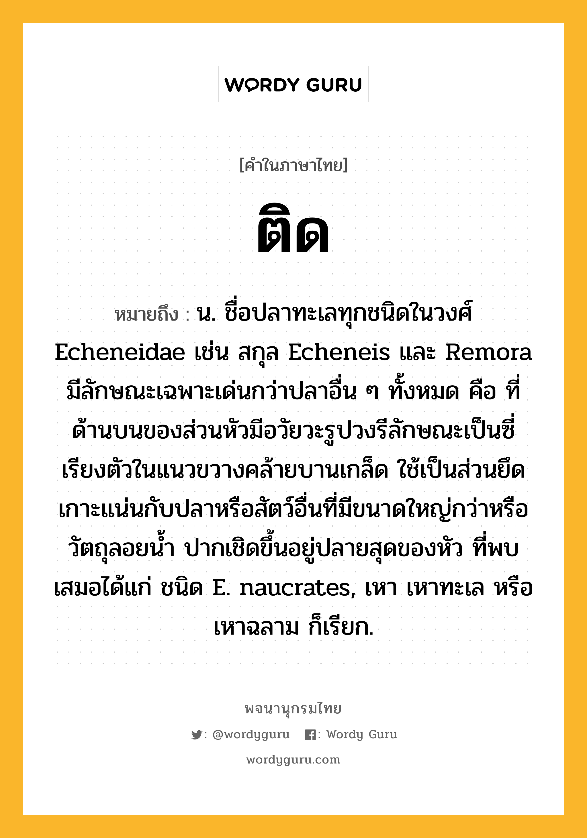 ติด ความหมาย หมายถึงอะไร?, คำในภาษาไทย ติด หมายถึง น. ชื่อปลาทะเลทุกชนิดในวงศ์ Echeneidae เช่น สกุล Echeneis และ Remora มีลักษณะเฉพาะเด่นกว่าปลาอื่น ๆ ทั้งหมด คือ ที่ด้านบนของส่วนหัวมีอวัยวะรูปวงรีลักษณะเป็นซี่เรียงตัวในแนวขวางคล้ายบานเกล็ด ใช้เป็นส่วนยึดเกาะแน่นกับปลาหรือสัตว์อื่นที่มีขนาดใหญ่กว่าหรือวัตถุลอยนํ้า ปากเชิดขึ้นอยู่ปลายสุดของหัว ที่พบเสมอได้แก่ ชนิด E. naucrates, เหา เหาทะเล หรือ เหาฉลาม ก็เรียก.