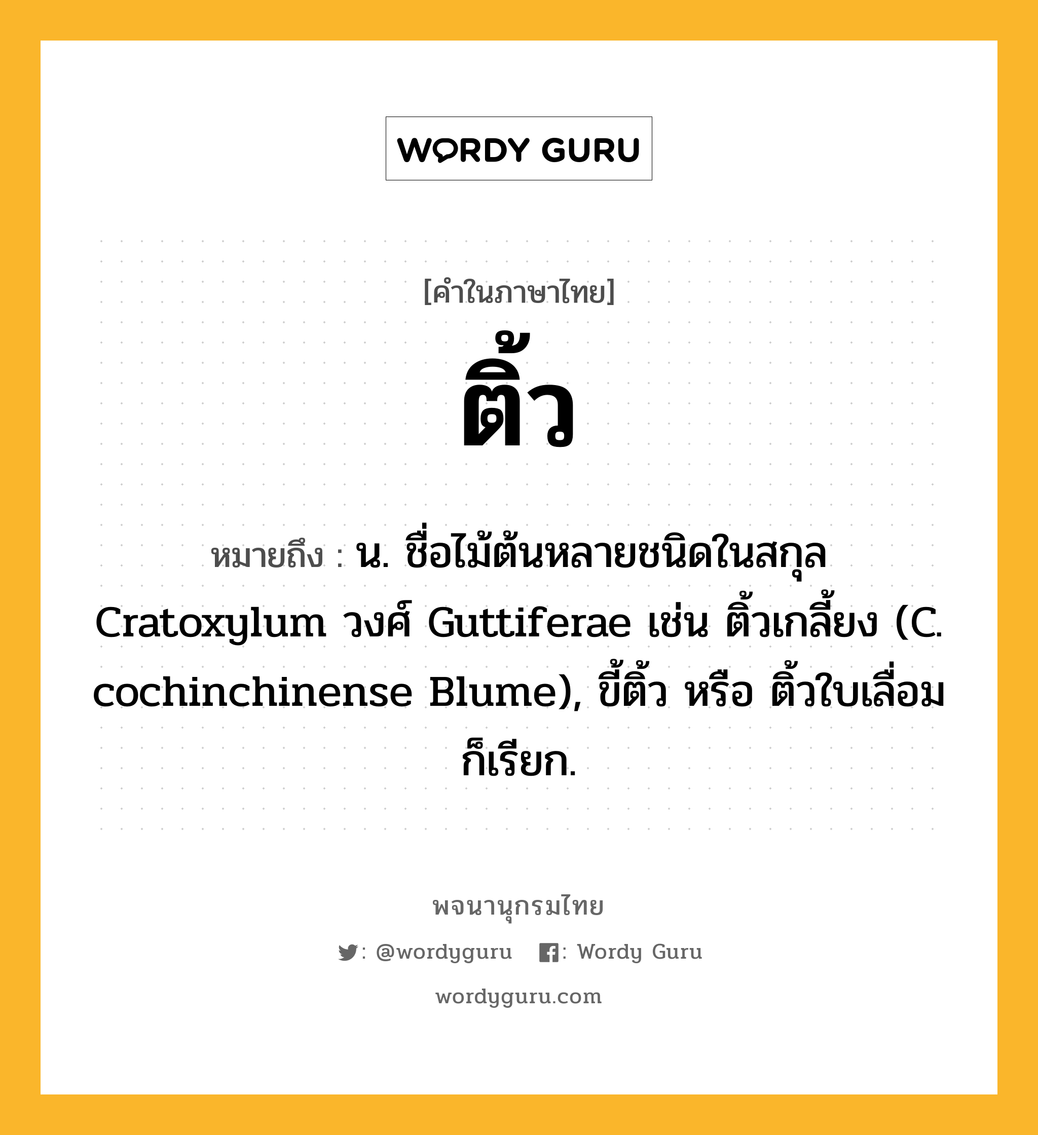 ติ้ว ความหมาย หมายถึงอะไร?, คำในภาษาไทย ติ้ว หมายถึง น. ชื่อไม้ต้นหลายชนิดในสกุล Cratoxylum วงศ์ Guttiferae เช่น ติ้วเกลี้ยง (C. cochinchinense Blume), ขี้ติ้ว หรือ ติ้วใบเลื่อม ก็เรียก.