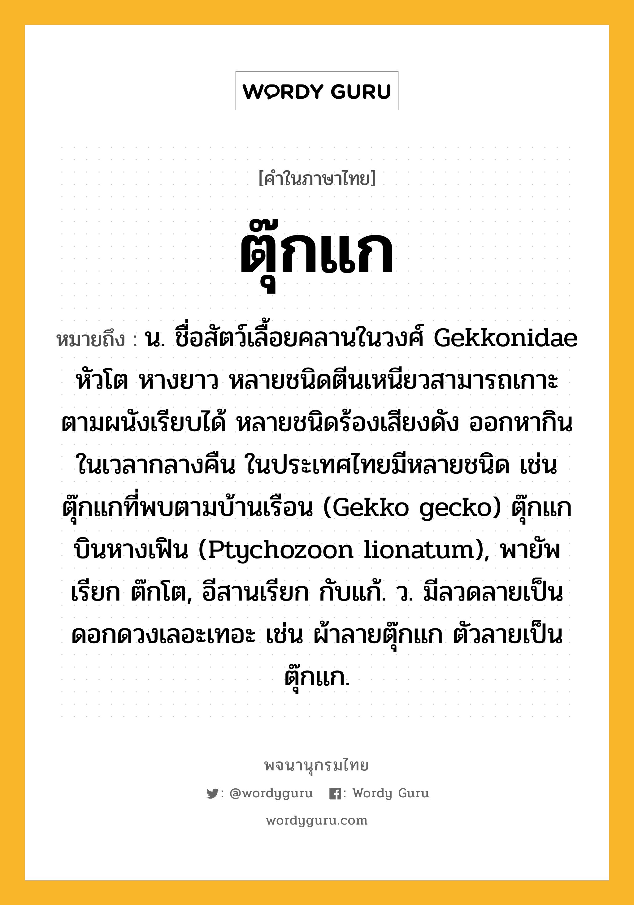 ตุ๊กแก ความหมาย หมายถึงอะไร?, คำในภาษาไทย ตุ๊กแก หมายถึง น. ชื่อสัตว์เลื้อยคลานในวงศ์ Gekkonidae หัวโต หางยาว หลายชนิดตีนเหนียวสามารถเกาะตามผนังเรียบได้ หลายชนิดร้องเสียงดัง ออกหากินในเวลากลางคืน ในประเทศไทยมีหลายชนิด เช่น ตุ๊กแกที่พบตามบ้านเรือน (Gekko gecko) ตุ๊กแกบินหางเฟิน (Ptychozoon lionatum), พายัพเรียก ต๊กโต, อีสานเรียก กับแก้. ว. มีลวดลายเป็นดอกดวงเลอะเทอะ เช่น ผ้าลายตุ๊กแก ตัวลายเป็นตุ๊กแก.