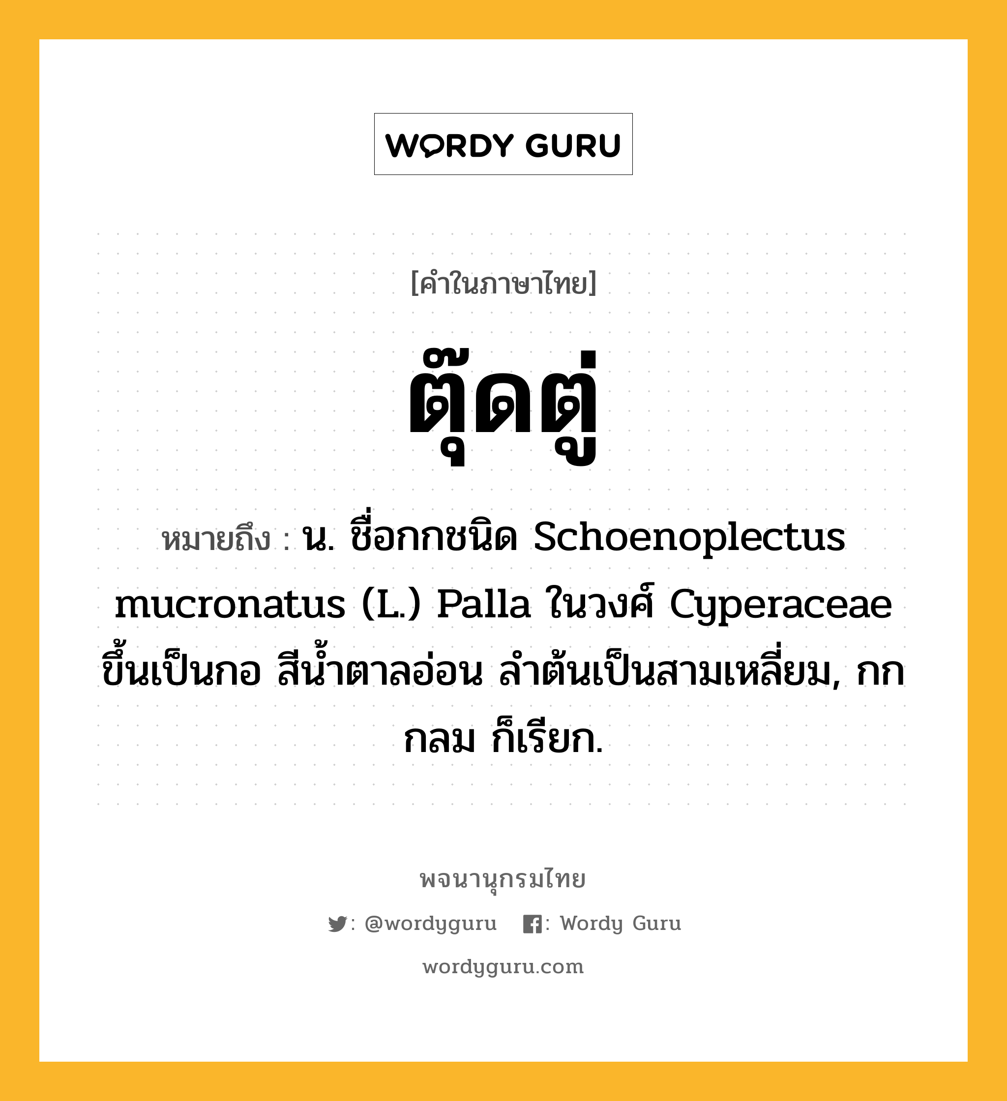 ตุ๊ดตู่ ความหมาย หมายถึงอะไร?, คำในภาษาไทย ตุ๊ดตู่ หมายถึง น. ชื่อกกชนิด Schoenoplectus mucronatus (L.) Palla ในวงศ์ Cyperaceae ขึ้นเป็นกอ สีนํ้าตาลอ่อน ลําต้นเป็นสามเหลี่ยม, กกกลม ก็เรียก.