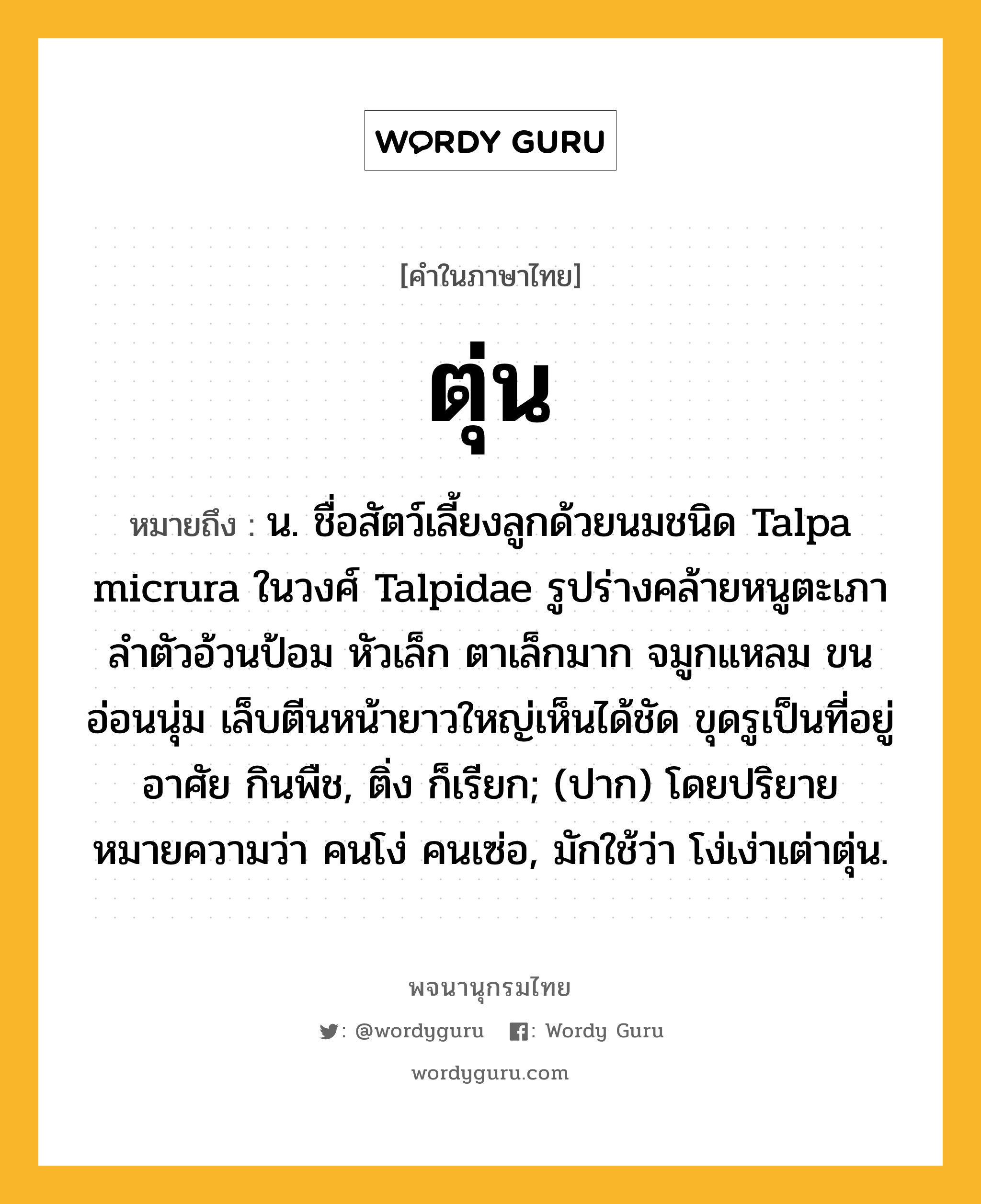 ตุ่น ความหมาย หมายถึงอะไร?, คำในภาษาไทย ตุ่น หมายถึง น. ชื่อสัตว์เลี้ยงลูกด้วยนมชนิด Talpa micrura ในวงศ์ Talpidae รูปร่างคล้ายหนูตะเภา ลำตัวอ้วนป้อม หัวเล็ก ตาเล็กมาก จมูกแหลม ขนอ่อนนุ่ม เล็บตีนหน้ายาวใหญ่เห็นได้ชัด ขุดรูเป็นที่อยู่อาศัย กินพืช, ติ่ง ก็เรียก; (ปาก) โดยปริยายหมายความว่า คนโง่ คนเซ่อ, มักใช้ว่า โง่เง่าเต่าตุ่น.