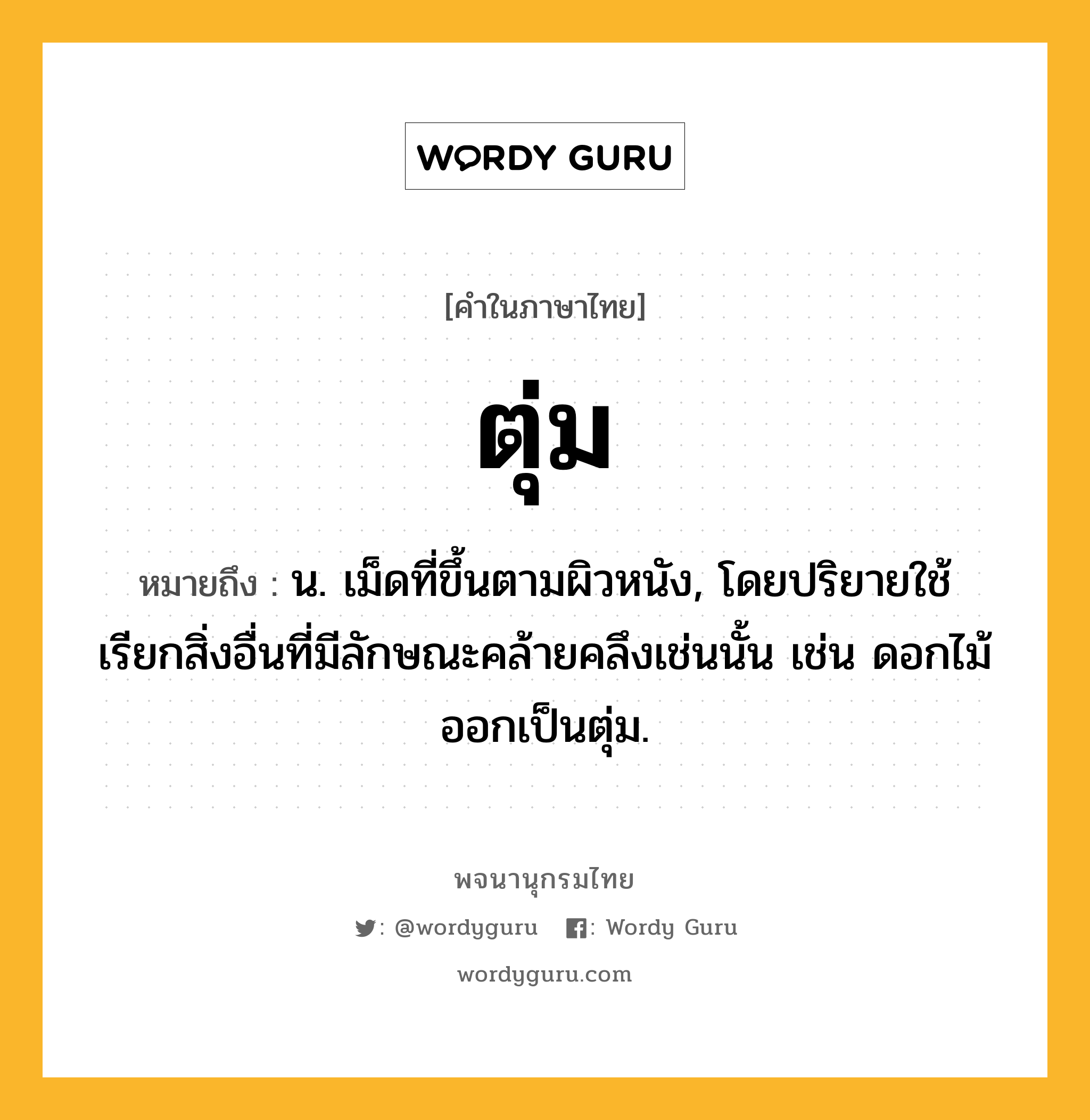 ตุ่ม ความหมาย หมายถึงอะไร?, คำในภาษาไทย ตุ่ม หมายถึง น. เม็ดที่ขึ้นตามผิวหนัง, โดยปริยายใช้เรียกสิ่งอื่นที่มีลักษณะคล้ายคลึงเช่นนั้น เช่น ดอกไม้ออกเป็นตุ่ม.