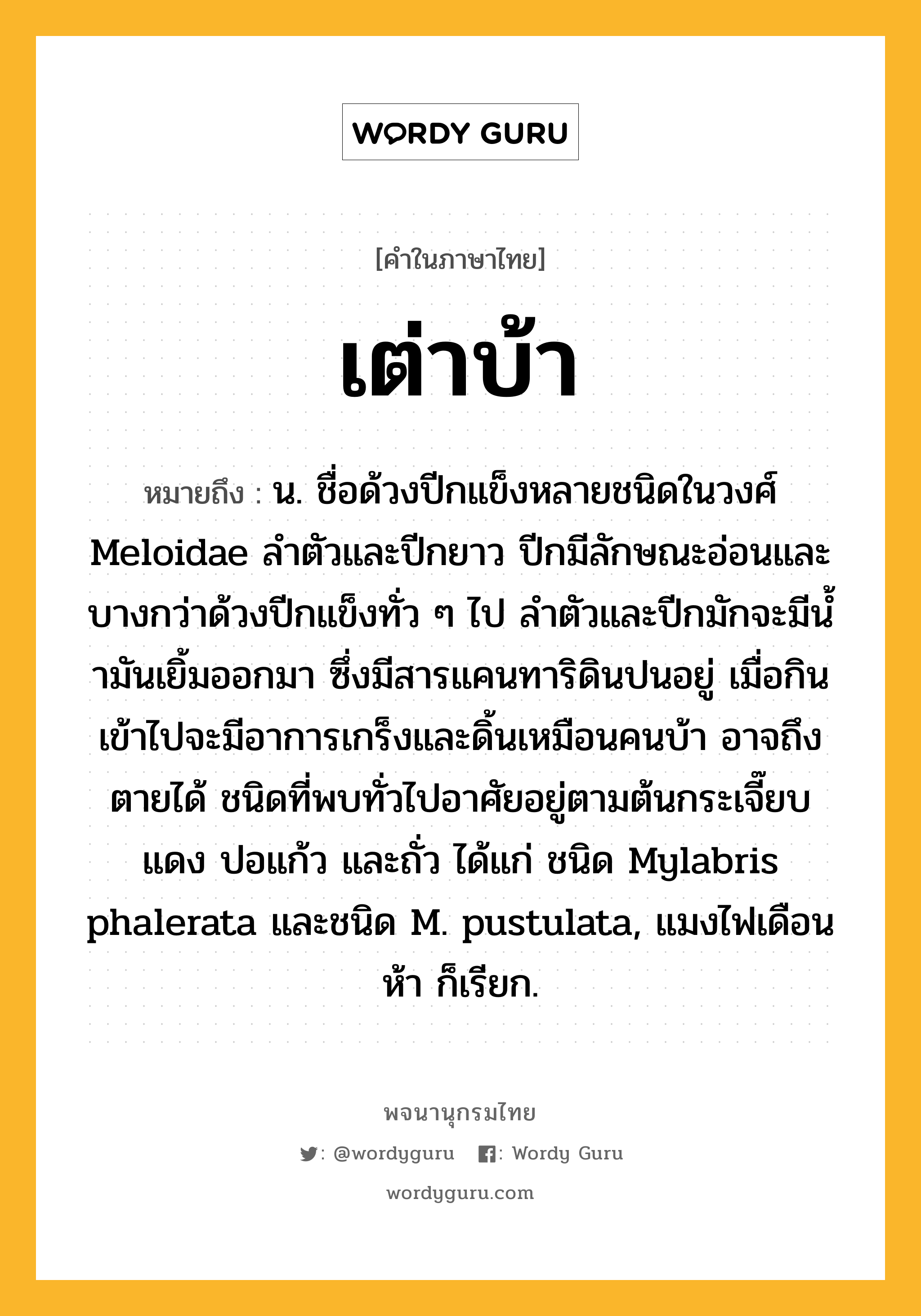 เต่าบ้า ความหมาย หมายถึงอะไร?, คำในภาษาไทย เต่าบ้า หมายถึง น. ชื่อด้วงปีกแข็งหลายชนิดในวงศ์ Meloidae ลําตัวและปีกยาว ปีกมีลักษณะอ่อนและบางกว่าด้วงปีกแข็งทั่ว ๆ ไป ลําตัวและปีกมักจะมีนํ้ามันเยิ้มออกมา ซึ่งมีสารแคนทาริดินปนอยู่ เมื่อกินเข้าไปจะมีอาการเกร็งและดิ้นเหมือนคนบ้า อาจถึงตายได้ ชนิดที่พบทั่วไปอาศัยอยู่ตามต้นกระเจี๊ยบแดง ปอแก้ว และถั่ว ได้แก่ ชนิด Mylabris phalerata และชนิด M. pustulata, แมงไฟเดือนห้า ก็เรียก.