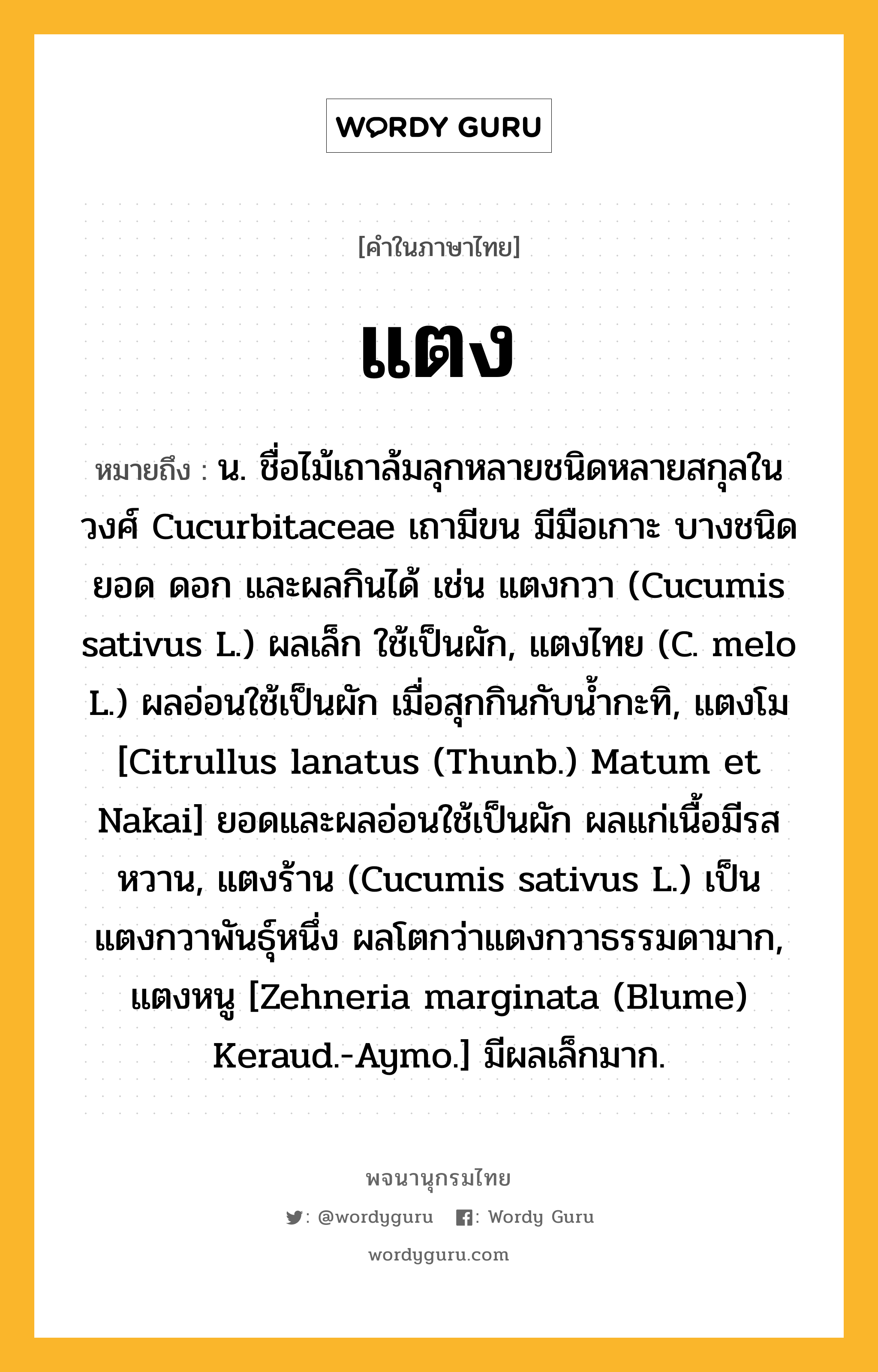 แตง ความหมาย หมายถึงอะไร?, คำในภาษาไทย แตง หมายถึง น. ชื่อไม้เถาล้มลุกหลายชนิดหลายสกุลในวงศ์ Cucurbitaceae เถามีขน มีมือเกาะ บางชนิดยอด ดอก และผลกินได้ เช่น แตงกวา (Cucumis sativus L.) ผลเล็ก ใช้เป็นผัก, แตงไทย (C. melo L.) ผลอ่อนใช้เป็นผัก เมื่อสุกกินกับนํ้ากะทิ, แตงโม [Citrullus lanatus (Thunb.) Matum et Nakai] ยอดและผลอ่อนใช้เป็นผัก ผลแก่เนื้อมีรสหวาน, แตงร้าน (Cucumis sativus L.) เป็นแตงกวาพันธุ์หนึ่ง ผลโตกว่าแตงกวาธรรมดามาก, แตงหนู [Zehneria marginata (Blume) Keraud.-Aymo.] มีผลเล็กมาก.