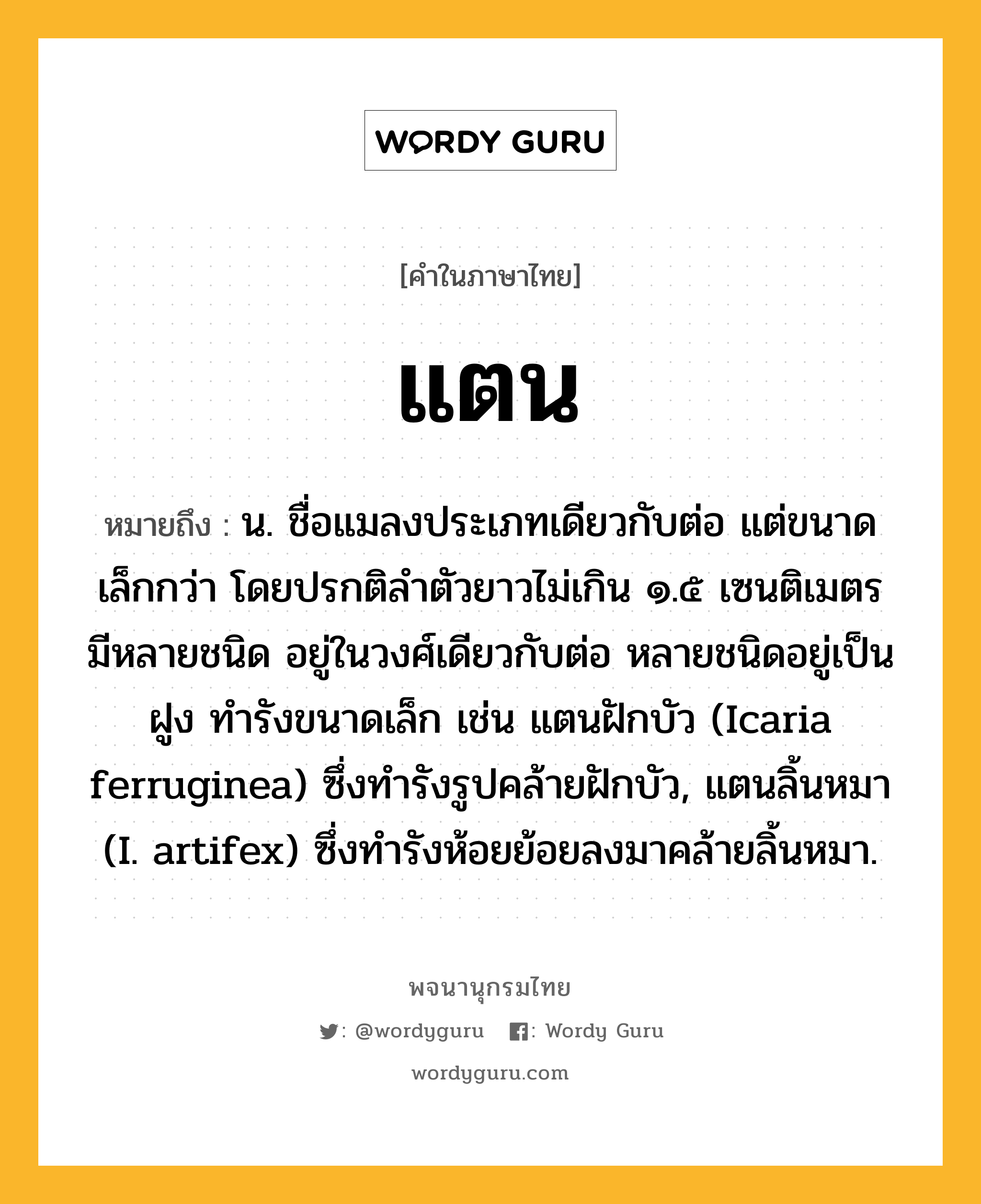 แตน ความหมาย หมายถึงอะไร?, คำในภาษาไทย แตน หมายถึง น. ชื่อแมลงประเภทเดียวกับต่อ แต่ขนาดเล็กกว่า โดยปรกติลําตัวยาวไม่เกิน ๑.๕ เซนติเมตร มีหลายชนิด อยู่ในวงศ์เดียวกับต่อ หลายชนิดอยู่เป็นฝูง ทํารังขนาดเล็ก เช่น แตนฝักบัว (Icaria ferruginea) ซึ่งทํารังรูปคล้ายฝักบัว, แตนลิ้นหมา (I. artifex) ซึ่งทํารังห้อยย้อยลงมาคล้ายลิ้นหมา.