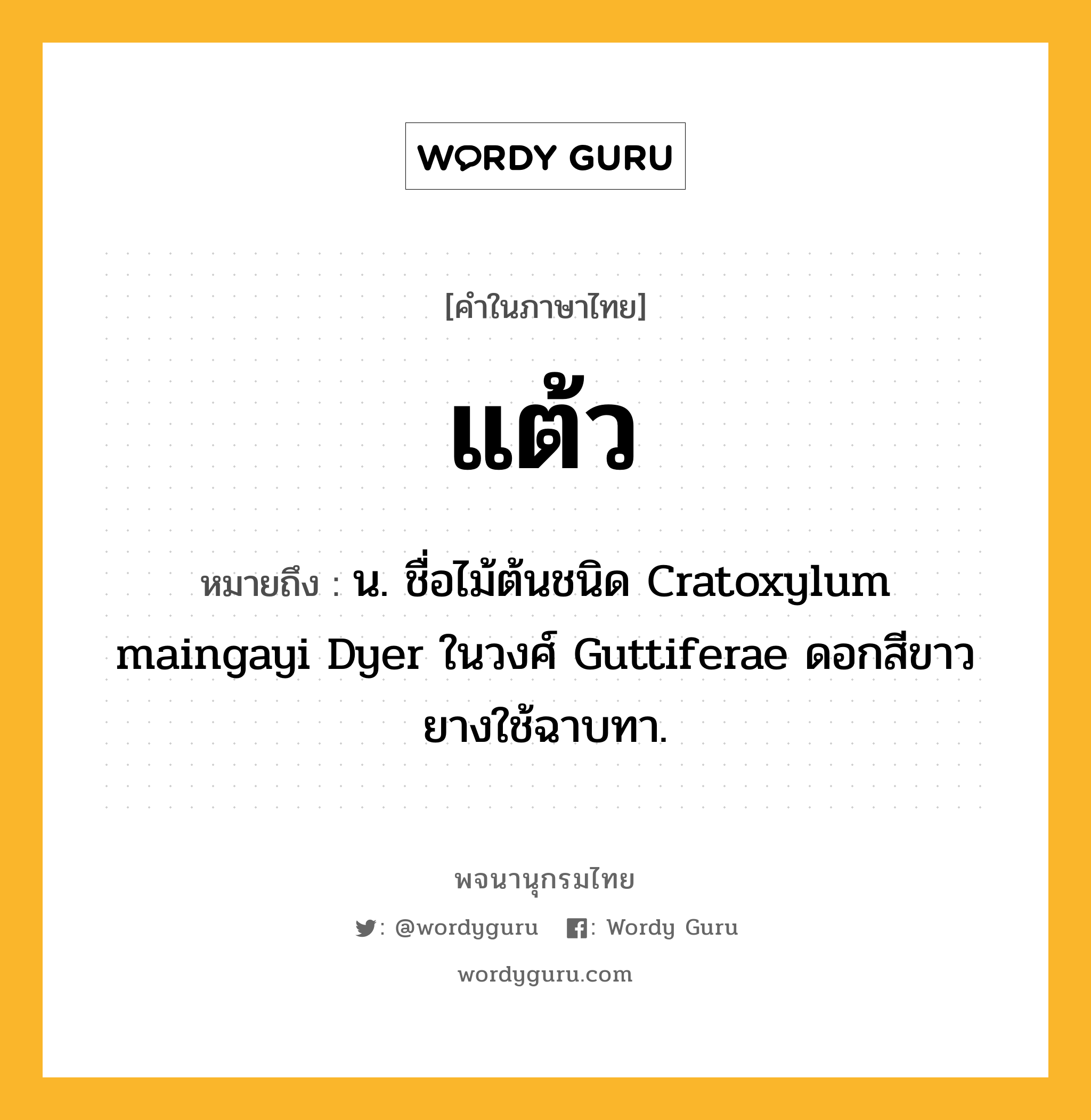 แต้ว ความหมาย หมายถึงอะไร?, คำในภาษาไทย แต้ว หมายถึง น. ชื่อไม้ต้นชนิด Cratoxylum maingayi Dyer ในวงศ์ Guttiferae ดอกสีขาว ยางใช้ฉาบทา.