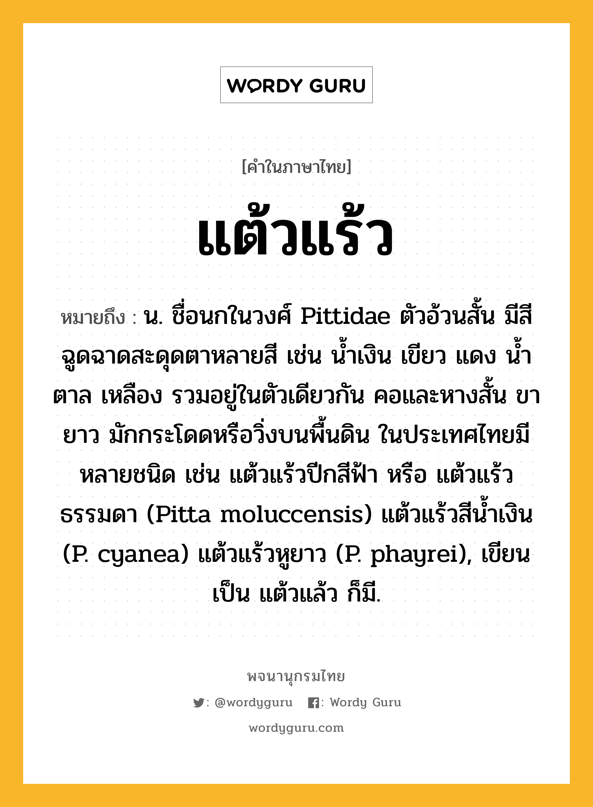 แต้วแร้ว ความหมาย หมายถึงอะไร?, คำในภาษาไทย แต้วแร้ว หมายถึง น. ชื่อนกในวงศ์ Pittidae ตัวอ้วนสั้น มีสีฉูดฉาดสะดุดตาหลายสี เช่น นํ้าเงิน เขียว แดง นํ้าตาล เหลือง รวมอยู่ในตัวเดียวกัน คอและหางสั้น ขายาว มักกระโดดหรือวิ่งบนพื้นดิน ในประเทศไทยมีหลายชนิด เช่น แต้วแร้วปีกสีฟ้า หรือ แต้วแร้วธรรมดา (Pitta moluccensis) แต้วแร้วสีนํ้าเงิน (P. cyanea) แต้วแร้วหูยาว (P. phayrei), เขียนเป็น แต้วแล้ว ก็มี.