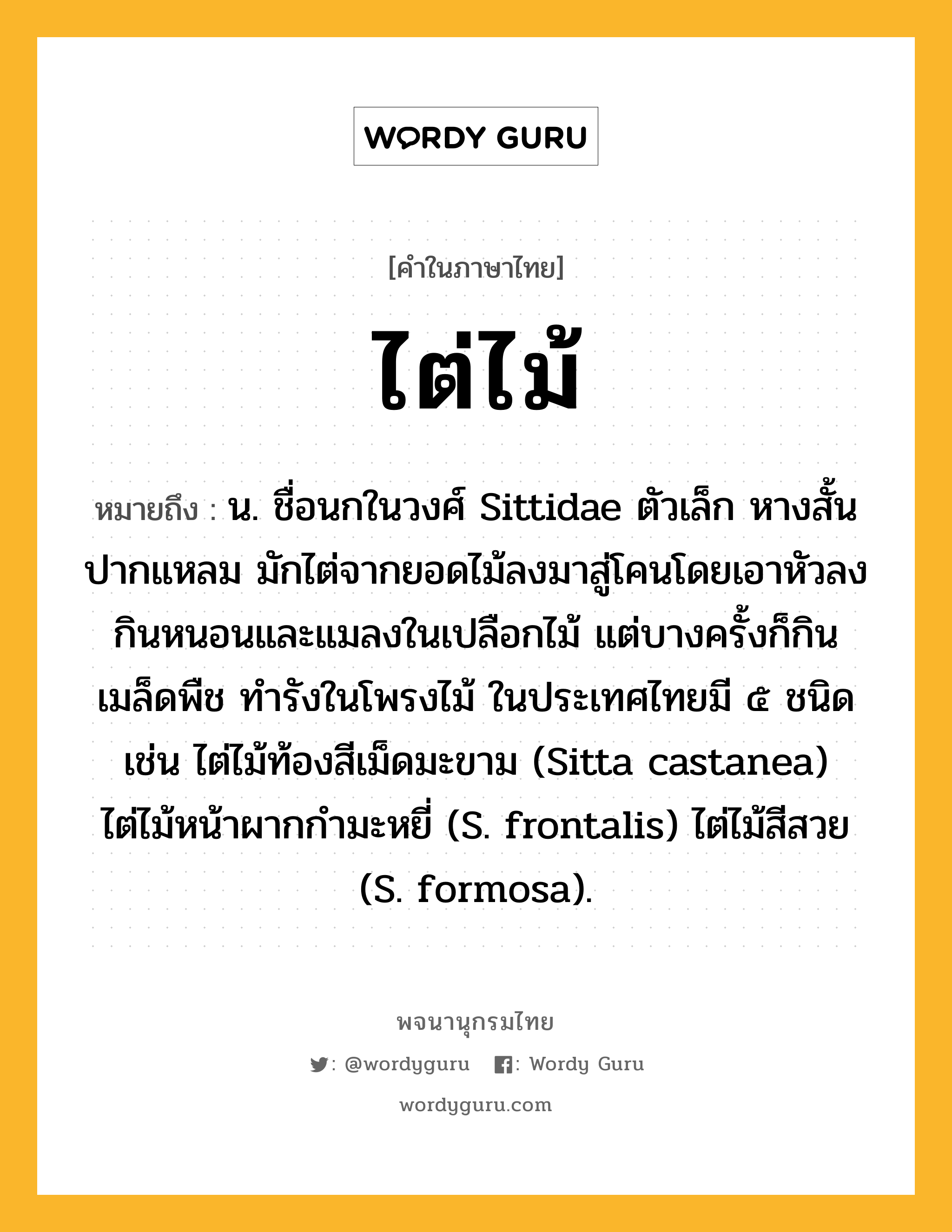 ไต่ไม้ ความหมาย หมายถึงอะไร?, คำในภาษาไทย ไต่ไม้ หมายถึง น. ชื่อนกในวงศ์ Sittidae ตัวเล็ก หางสั้น ปากแหลม มักไต่จากยอดไม้ลงมาสู่โคนโดยเอาหัวลง กินหนอนและแมลงในเปลือกไม้ แต่บางครั้งก็กินเมล็ดพืช ทํารังในโพรงไม้ ในประเทศไทยมี ๕ ชนิด เช่น ไต่ไม้ท้องสีเม็ดมะขาม (Sitta castanea) ไต่ไม้หน้าผากกํามะหยี่ (S. frontalis) ไต่ไม้สีสวย (S. formosa).